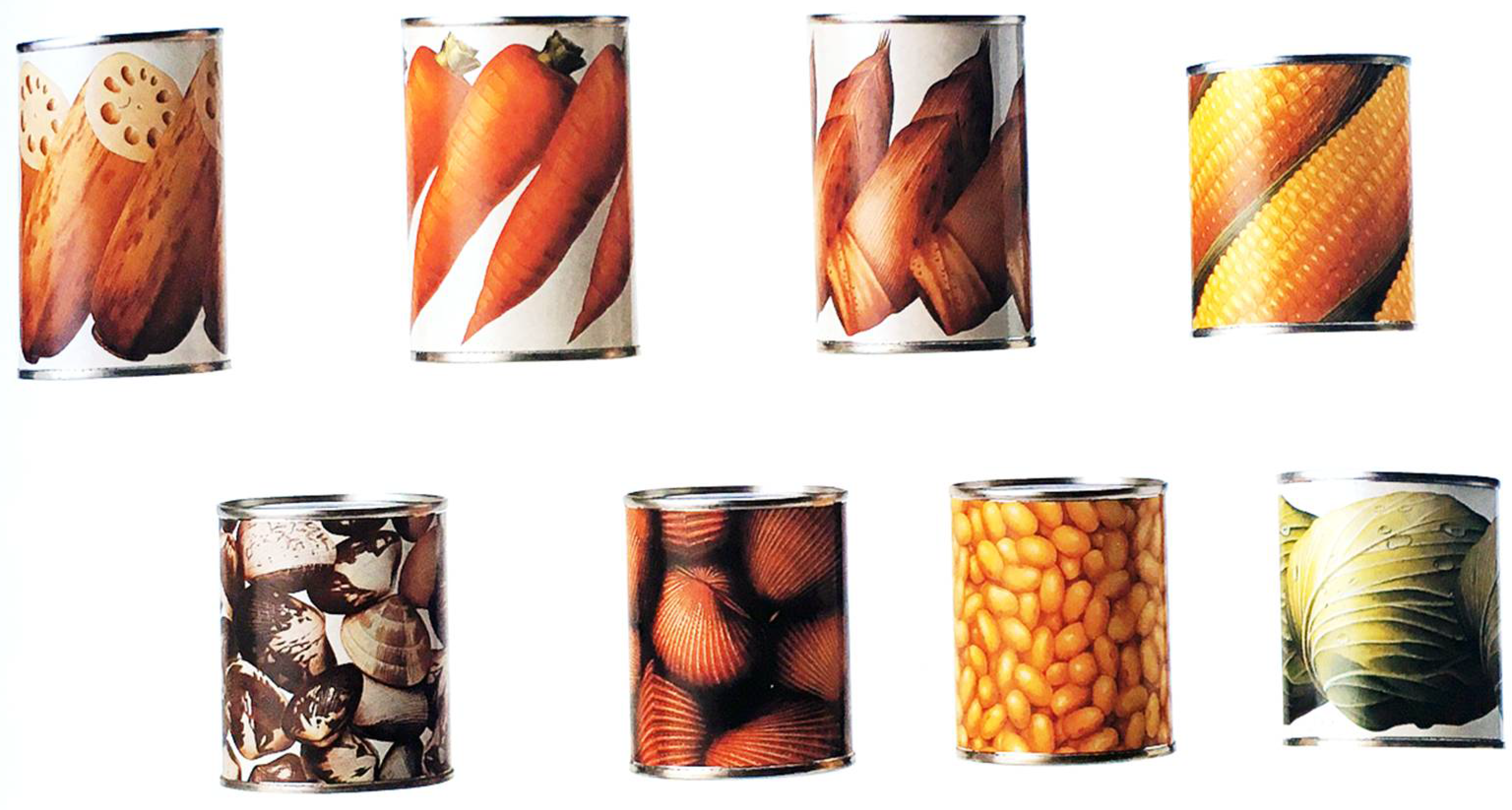 Proceedings 01 01115 g002