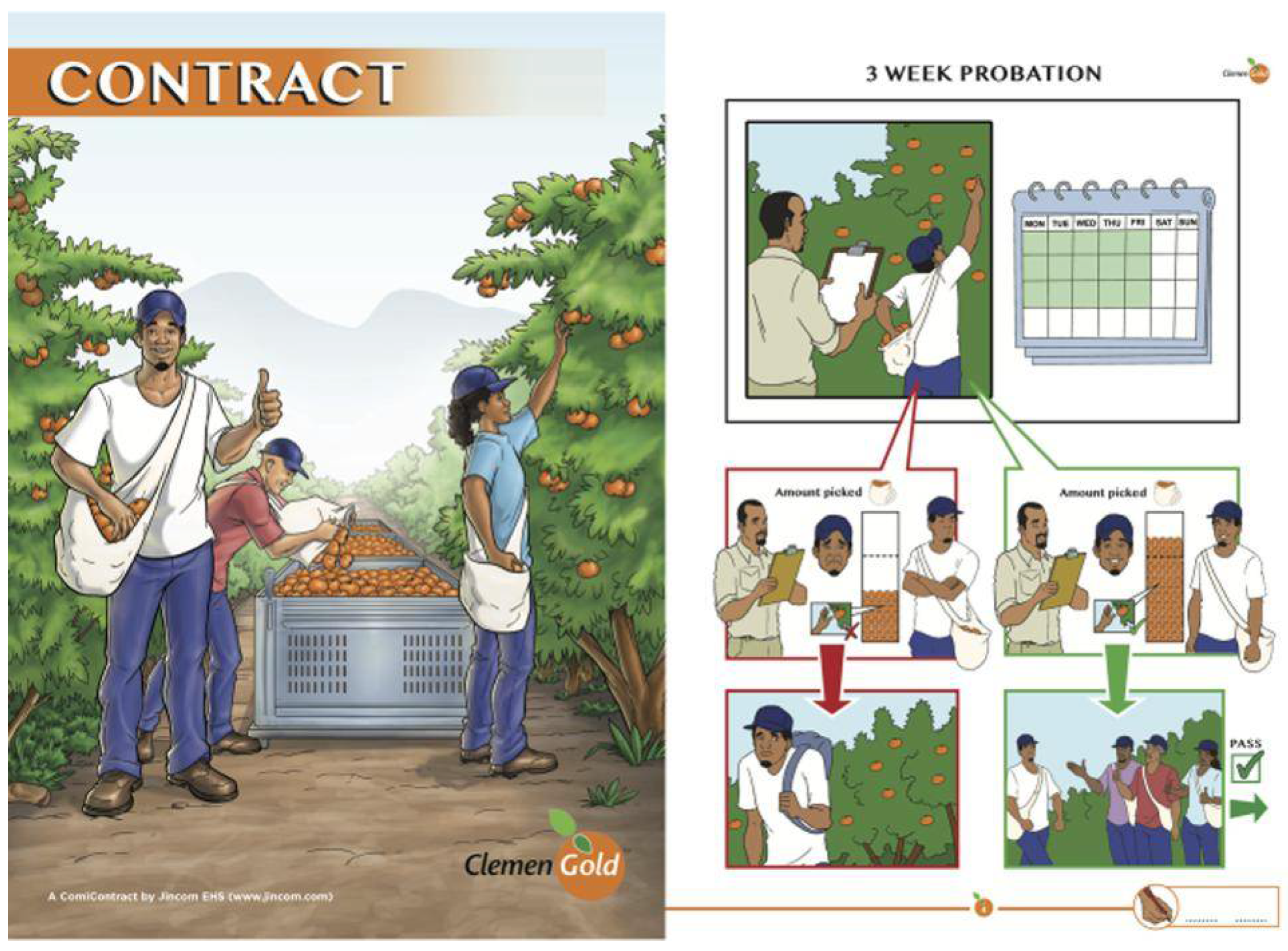 Proceedings 01 01115 g006