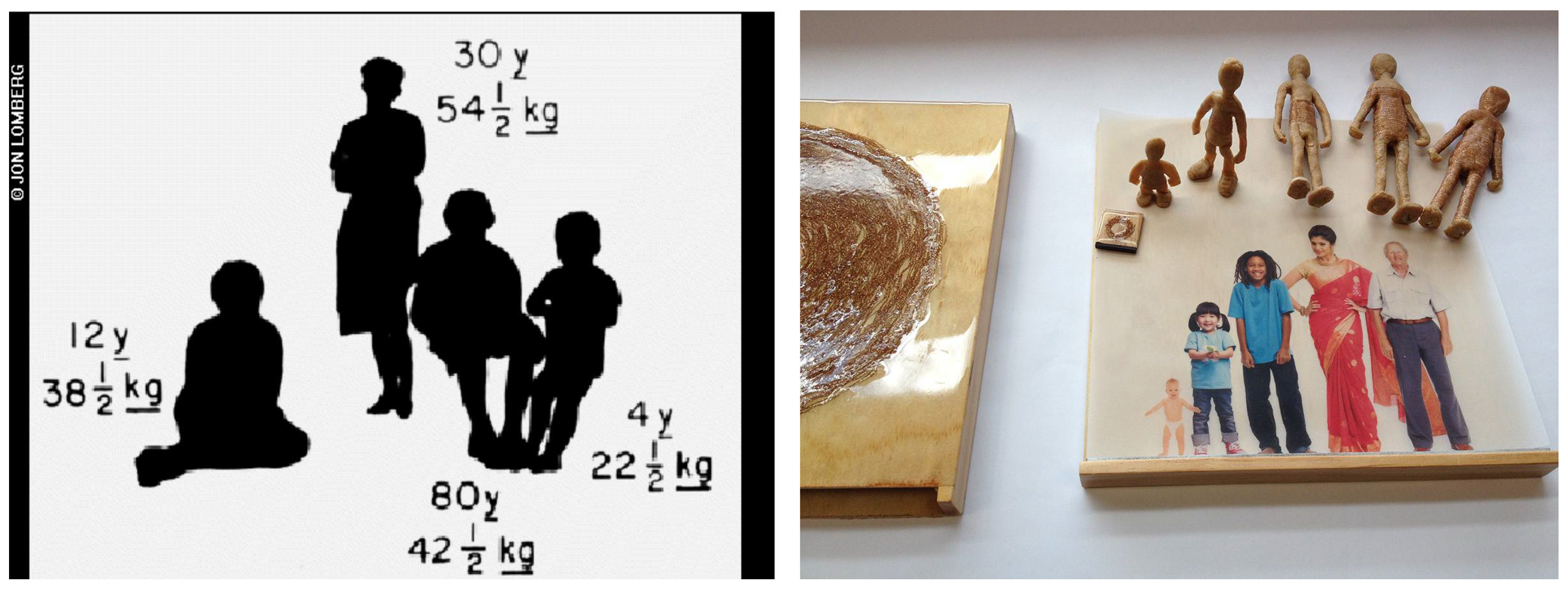 Proceedings 01 01115 g009