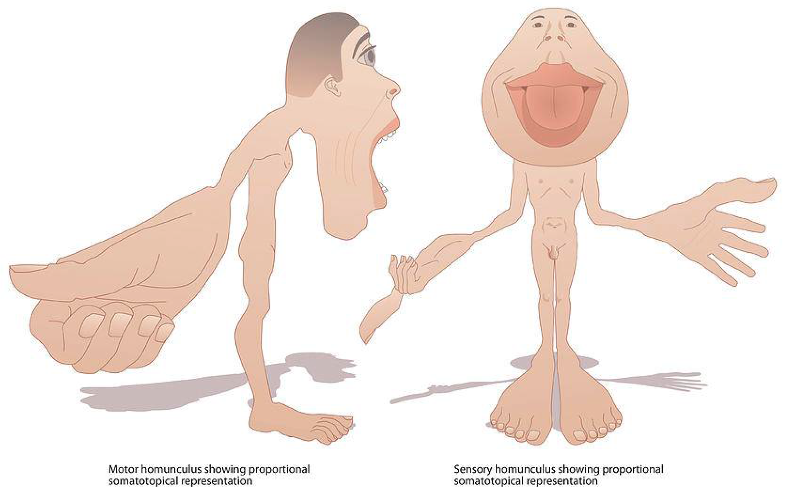 Proceedings 01 01115 g011