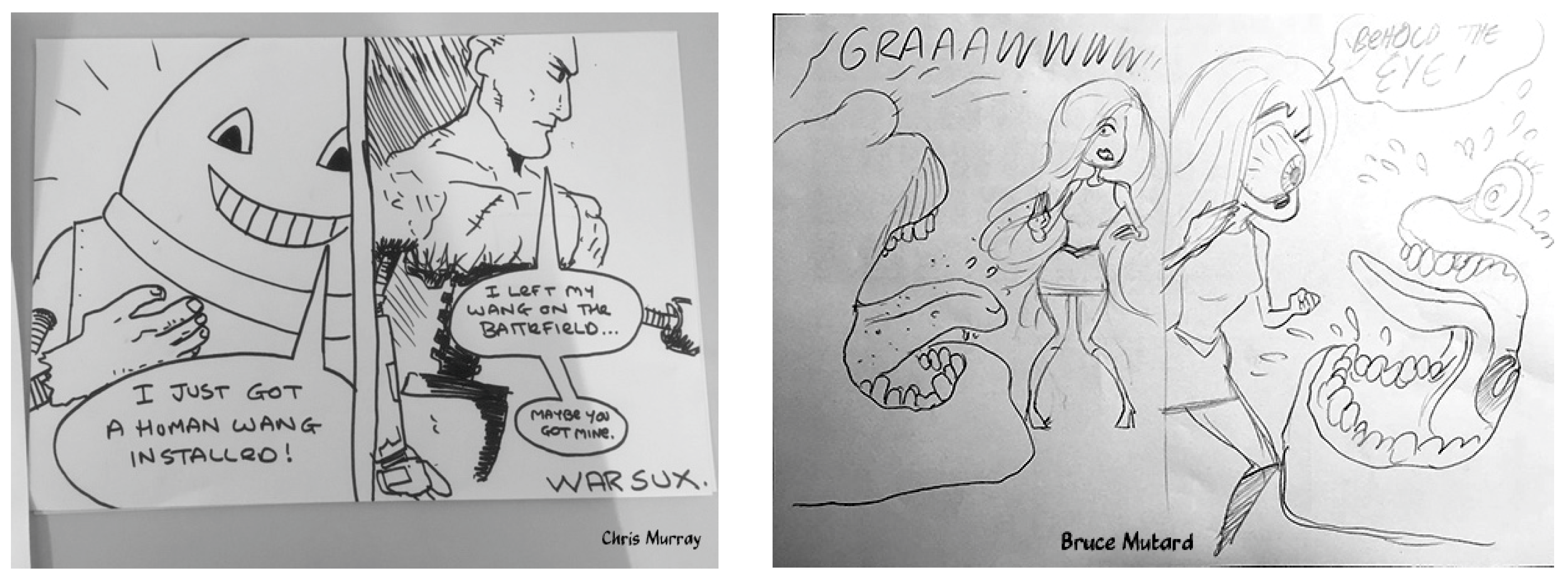 Proceedings 01 01115 g012