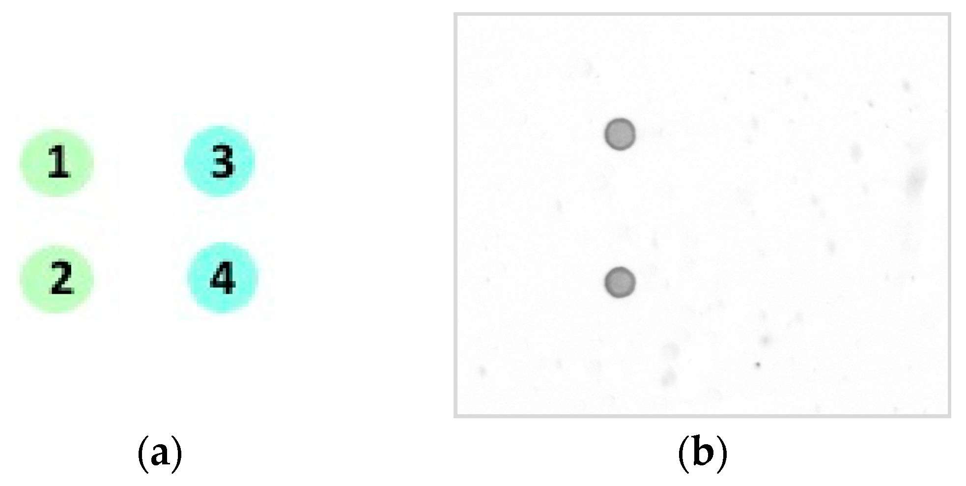 Proceedings 02 00128 g005
