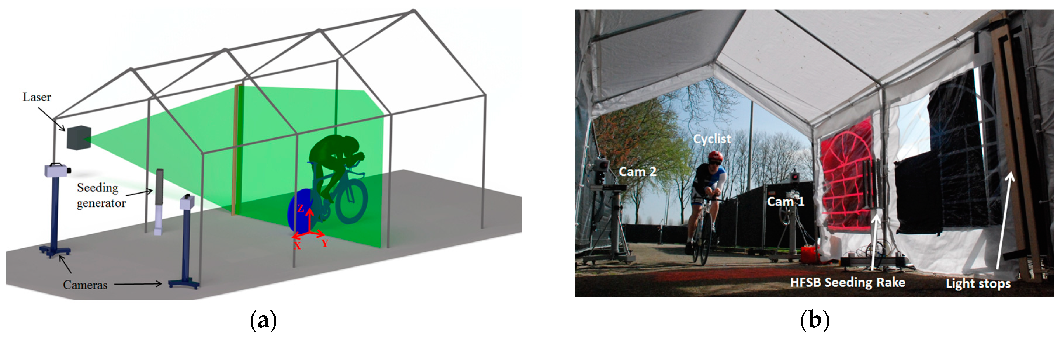 Proceedings 02 00221 g001