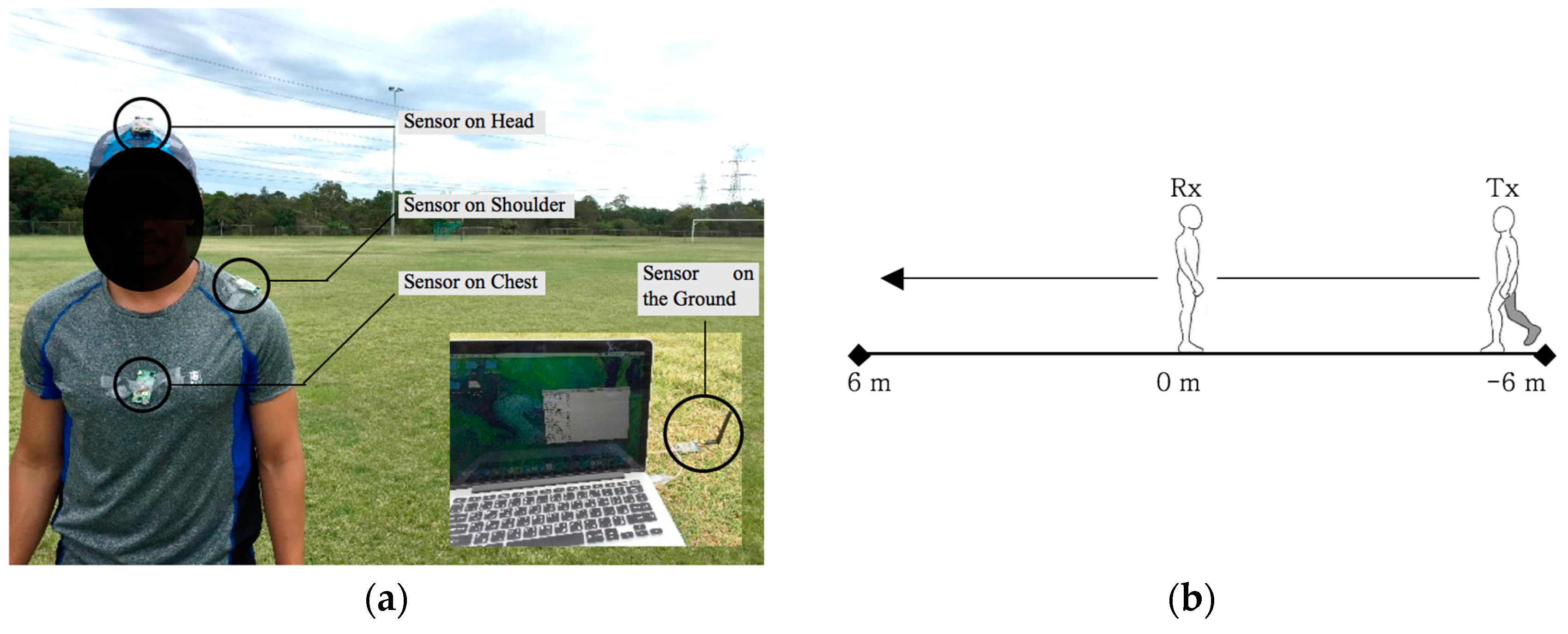 Proceedings 02 00291 g001