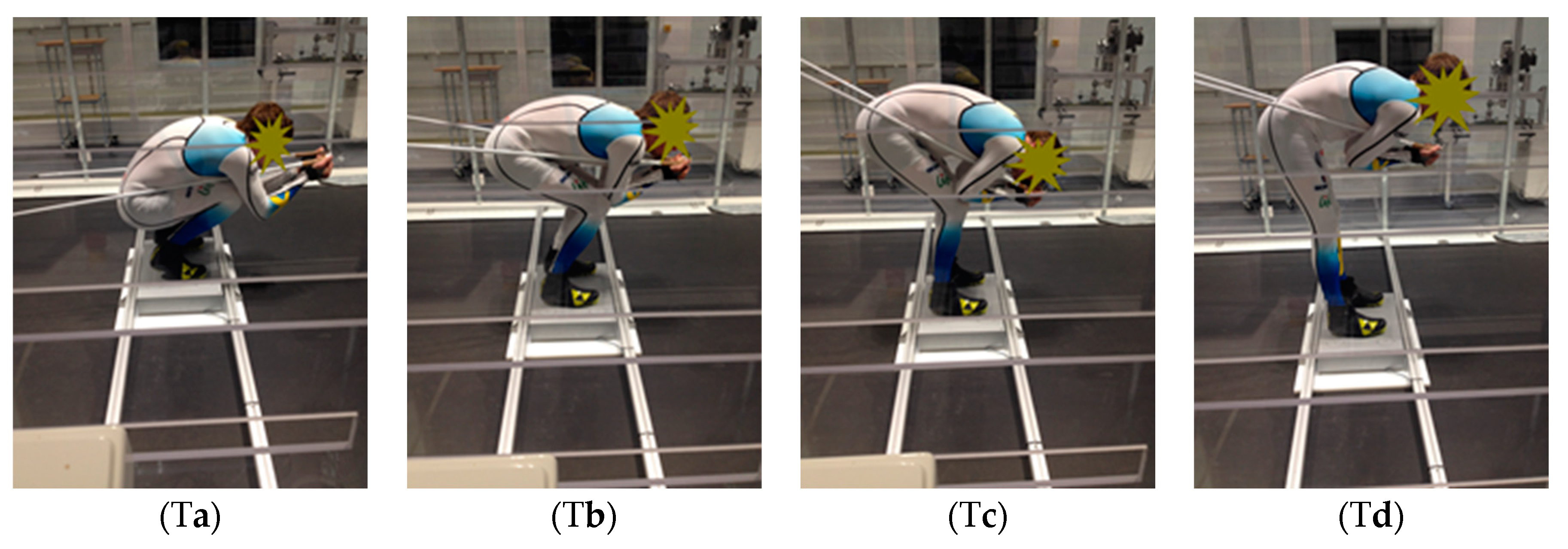 Proceedings 02 00313 g003