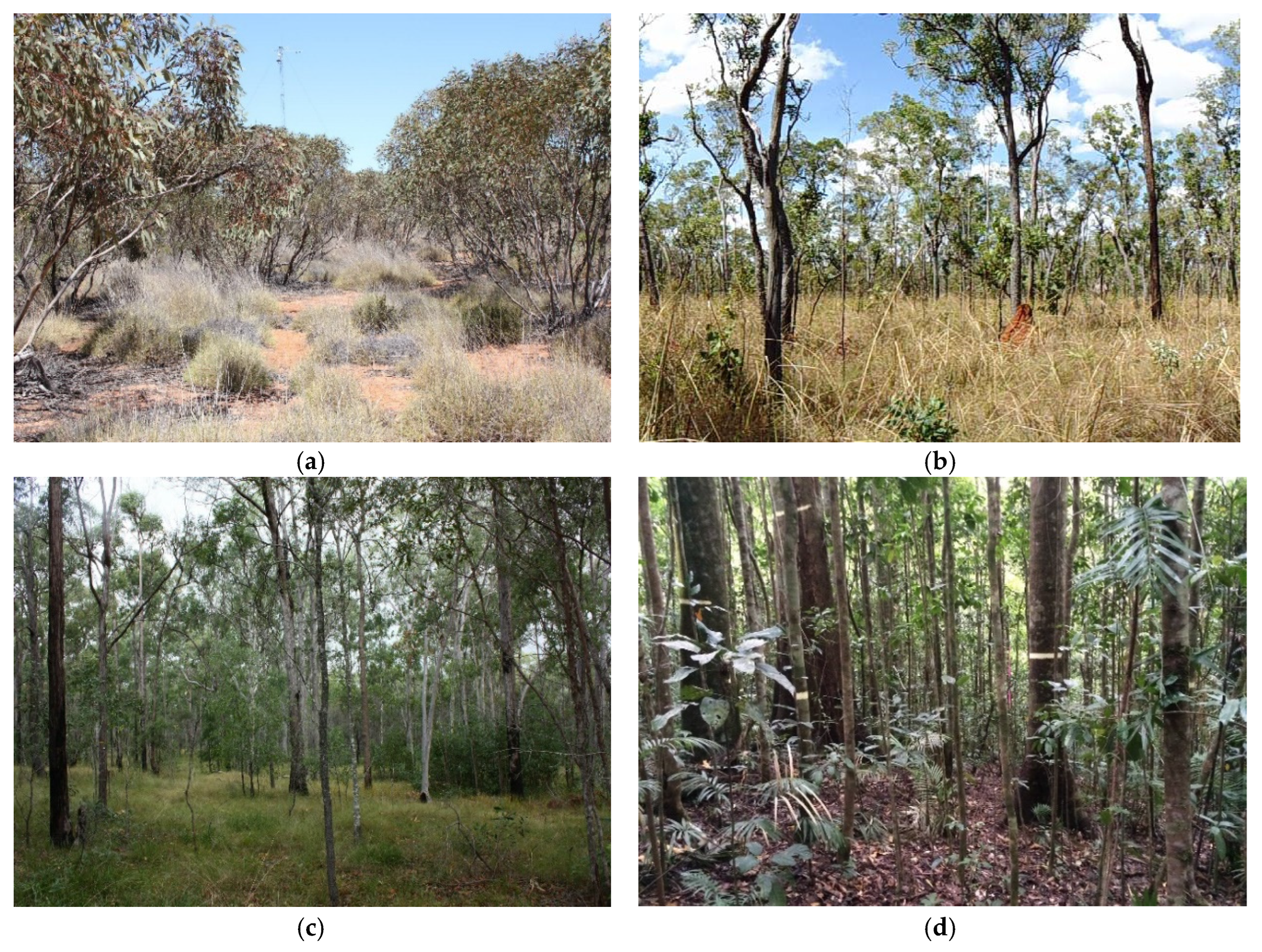 Proceedings 02 00338 g002