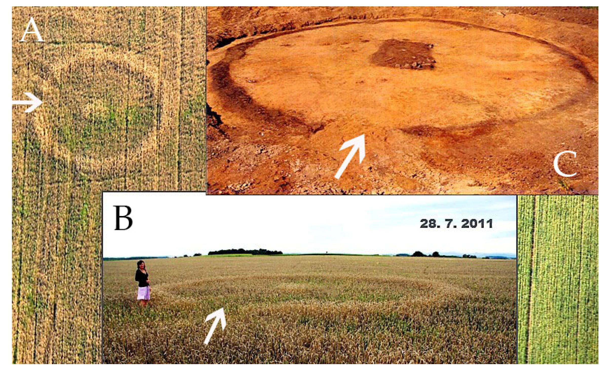 Proceedings 02 00351 g001