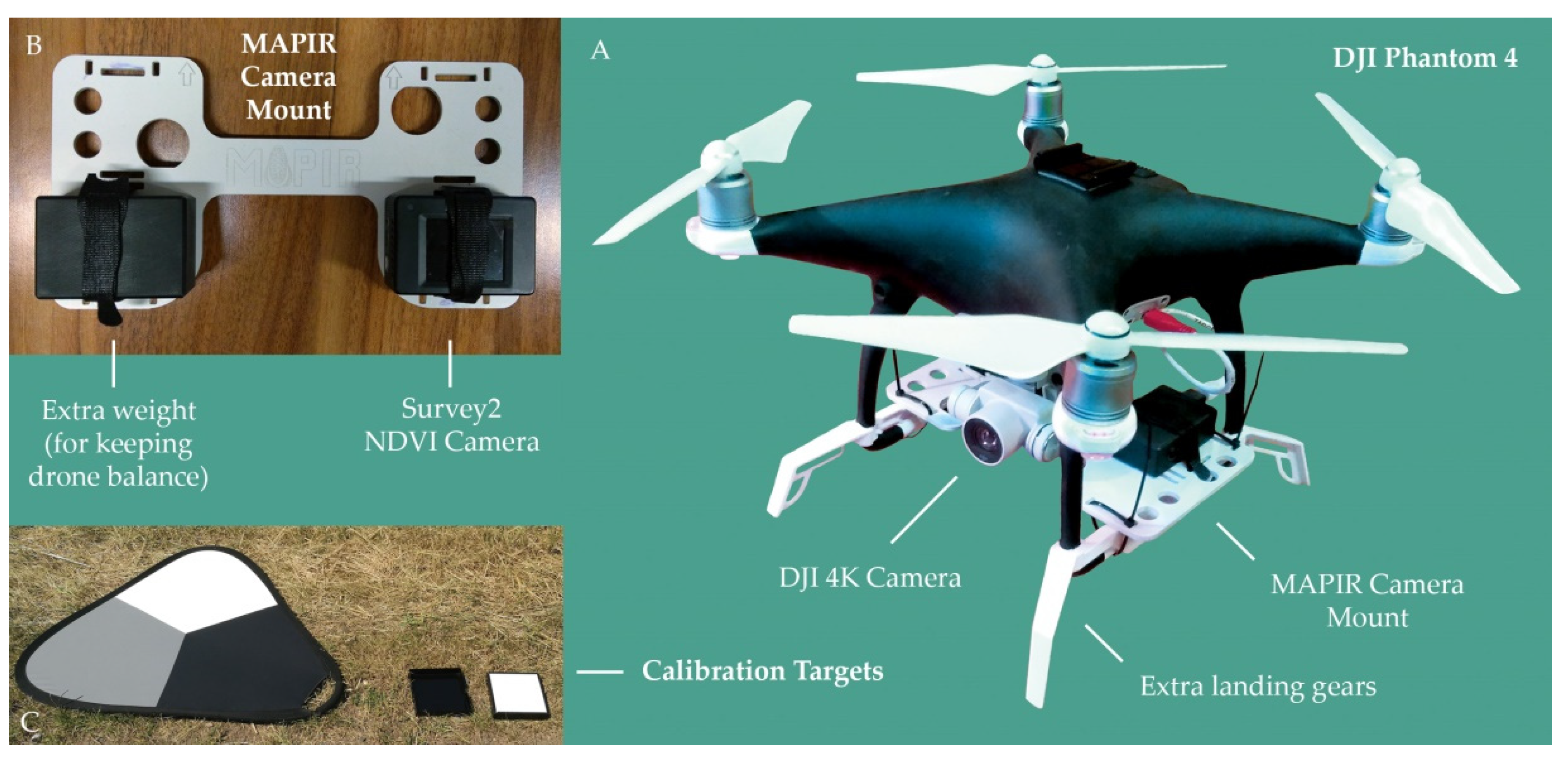 Proceedings 02 00351 g002