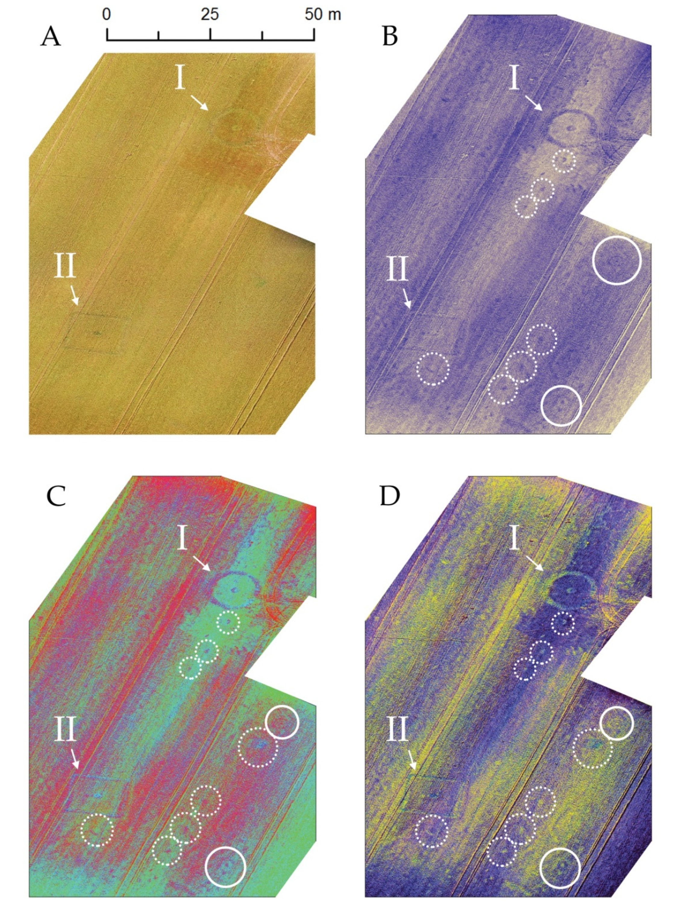Proceedings 02 00351 g004