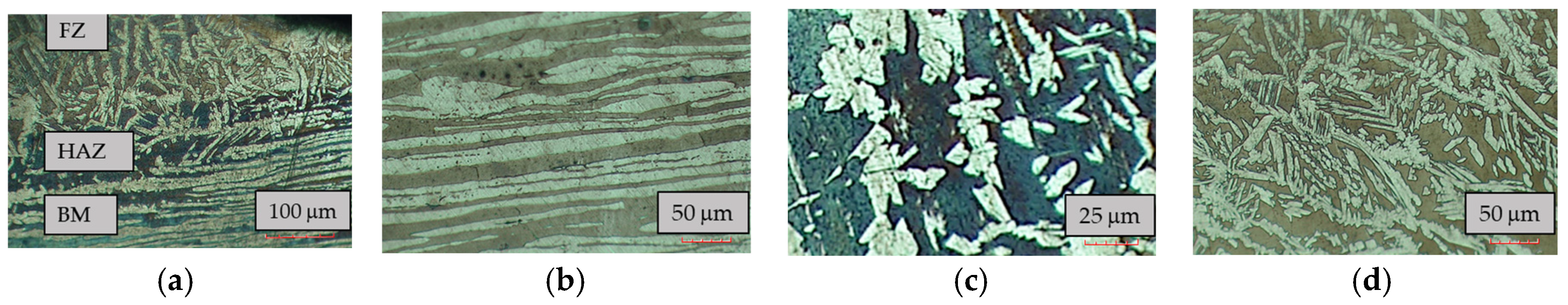 Proceedings 02 00415 g002