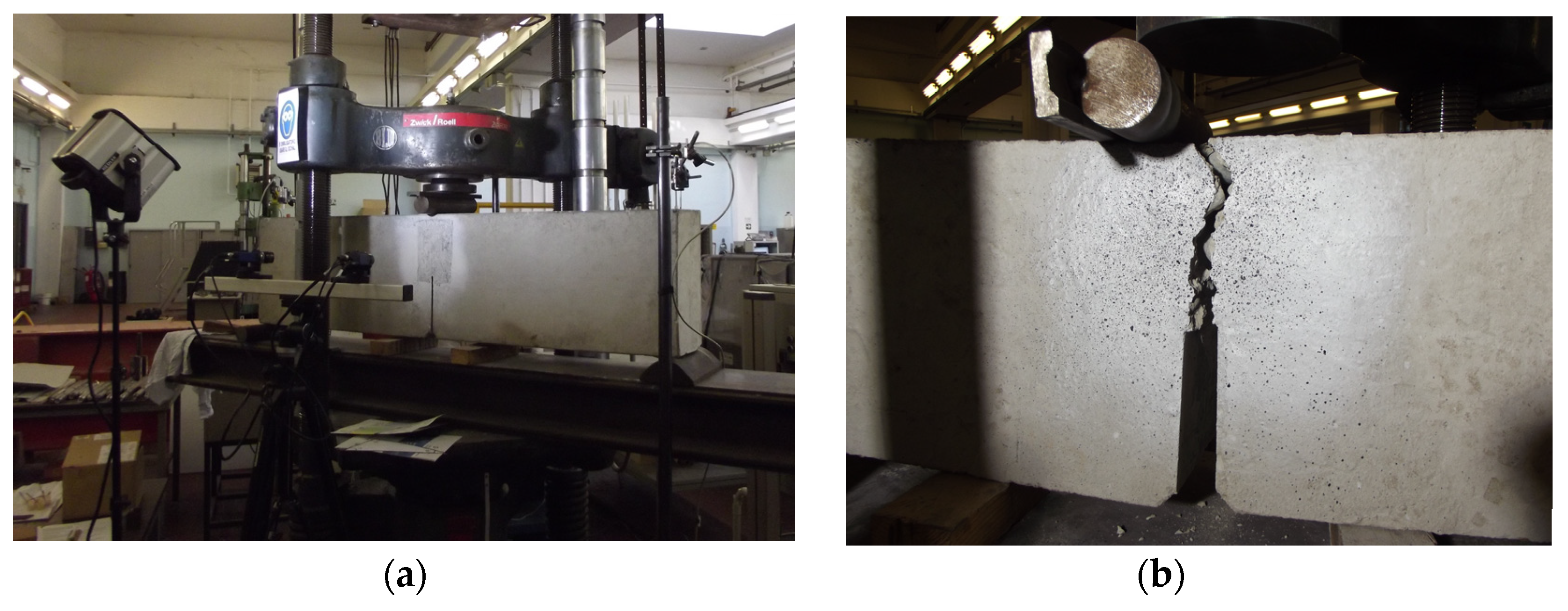 Proceedings 02 00429 g002