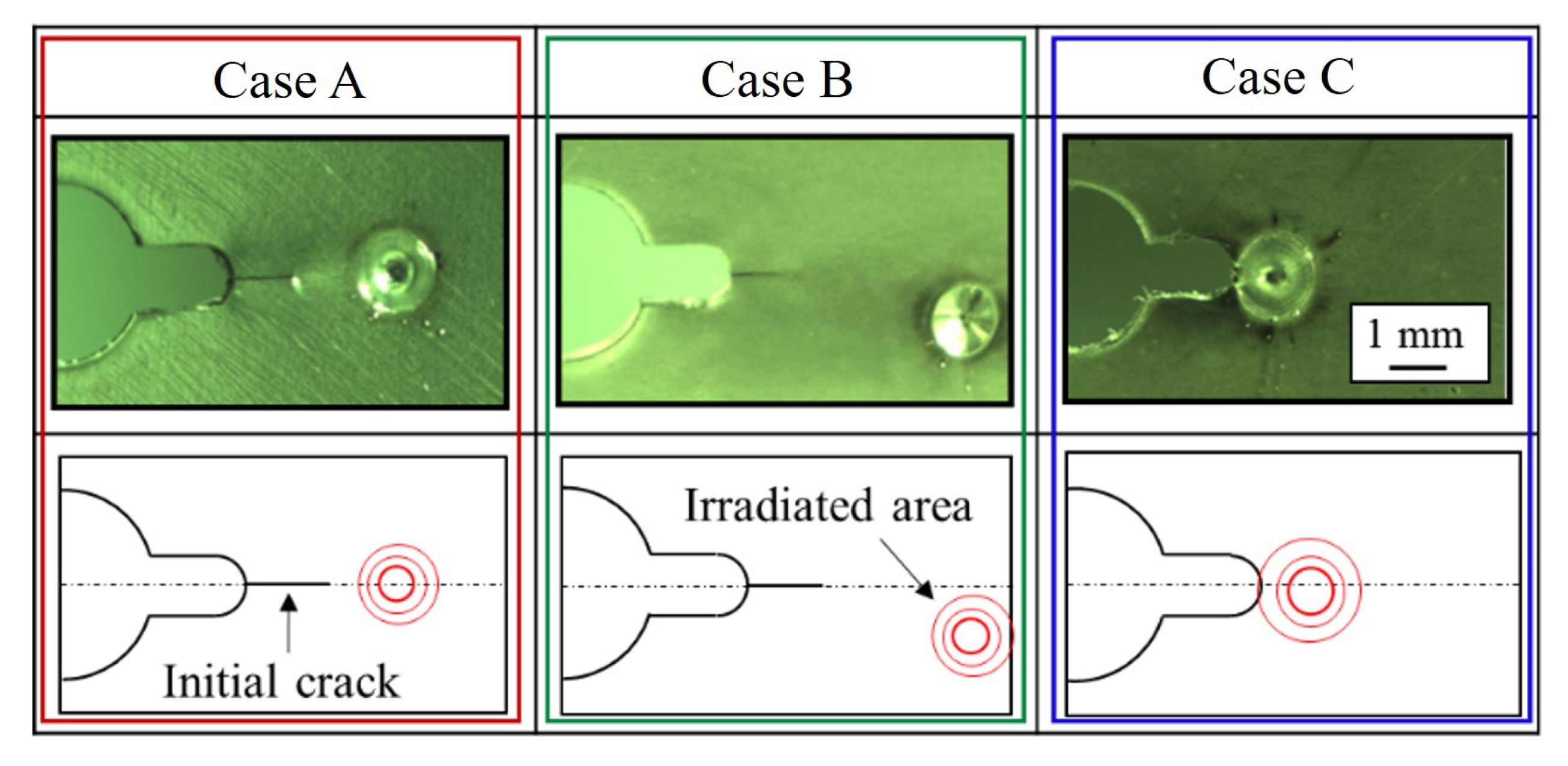 Proceedings 02 00478 g006