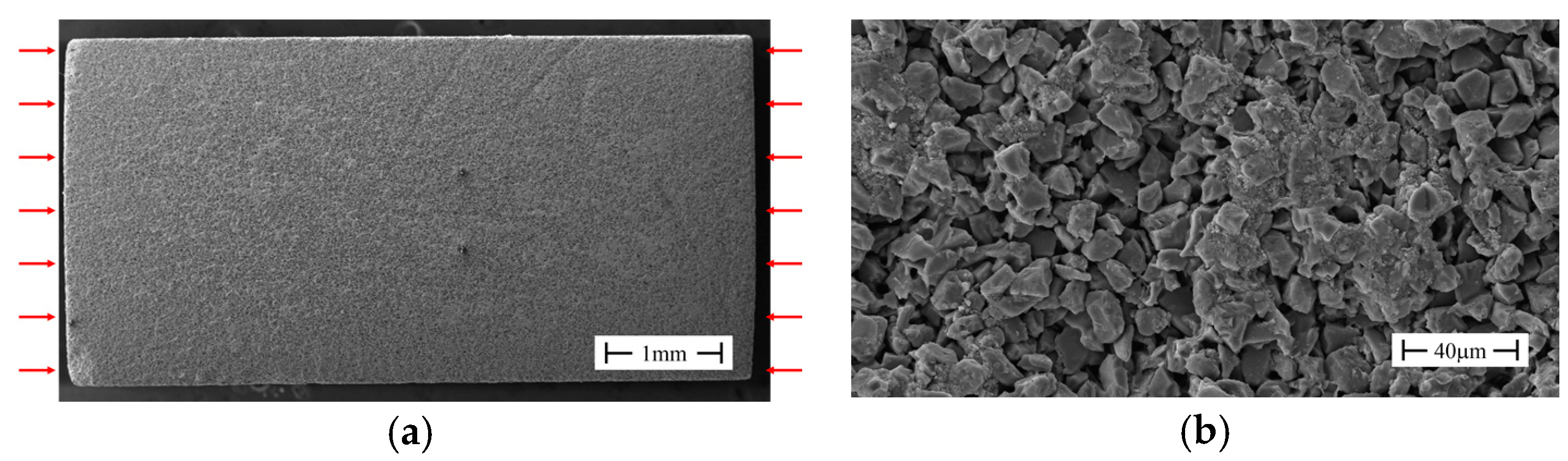 Proceedings 02 00509 g001