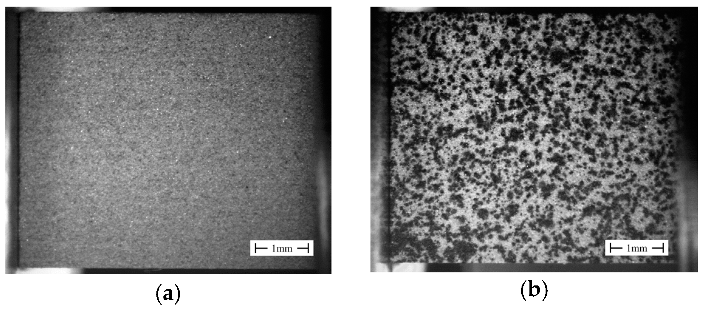 Proceedings 02 00509 g003