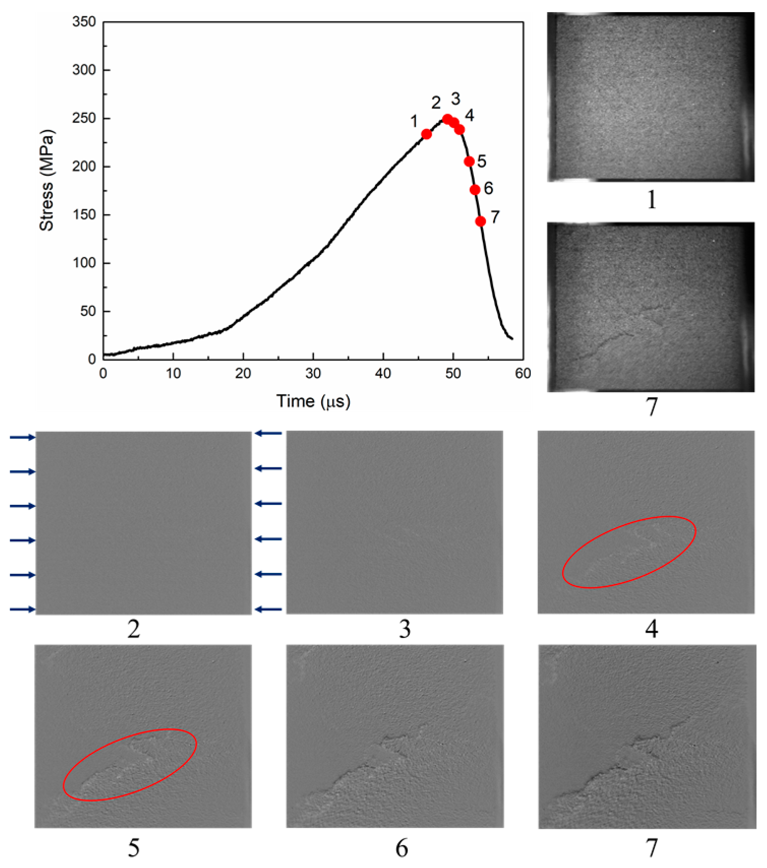 Proceedings 02 00509 g005