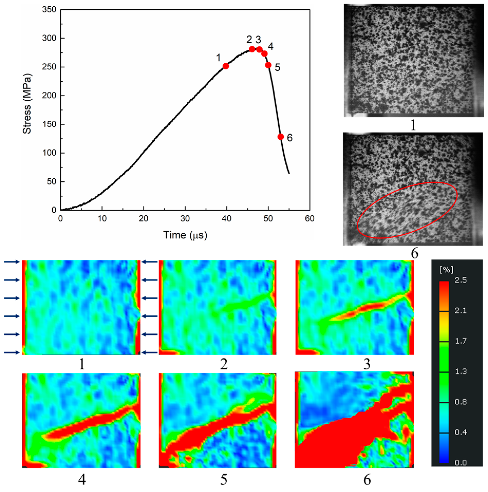Proceedings 02 00509 g006