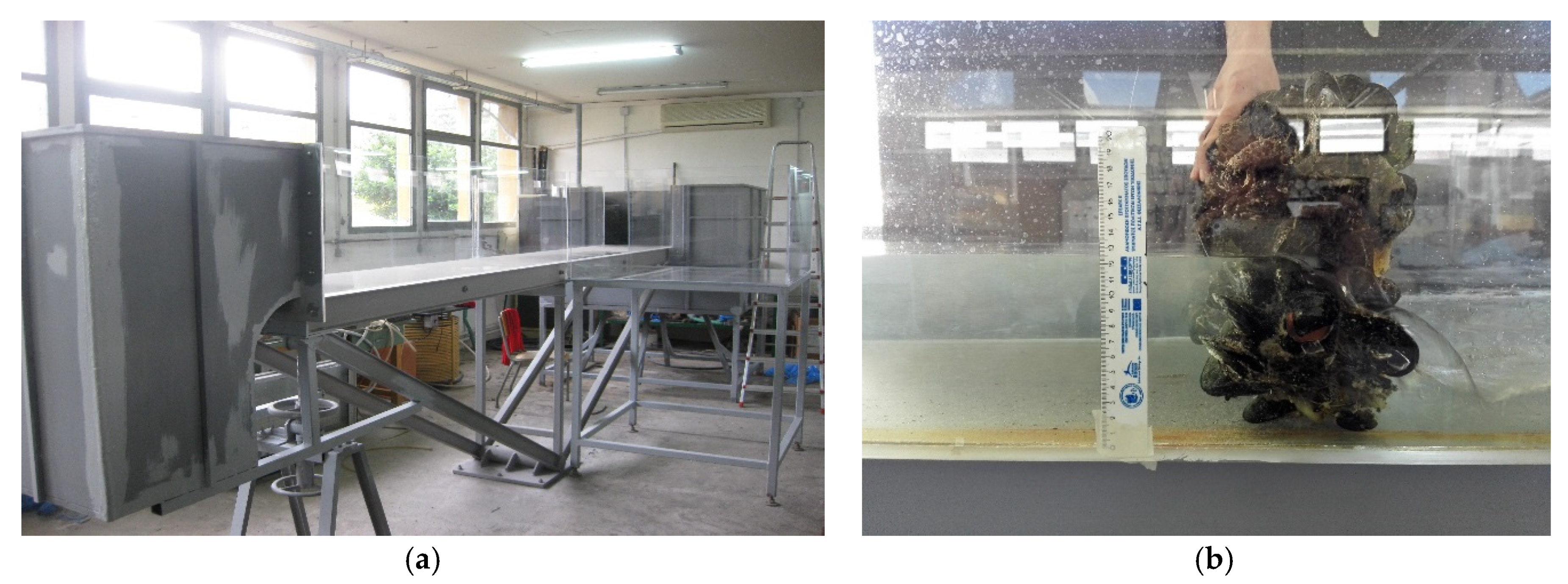 Proceedings 02 00574 g002