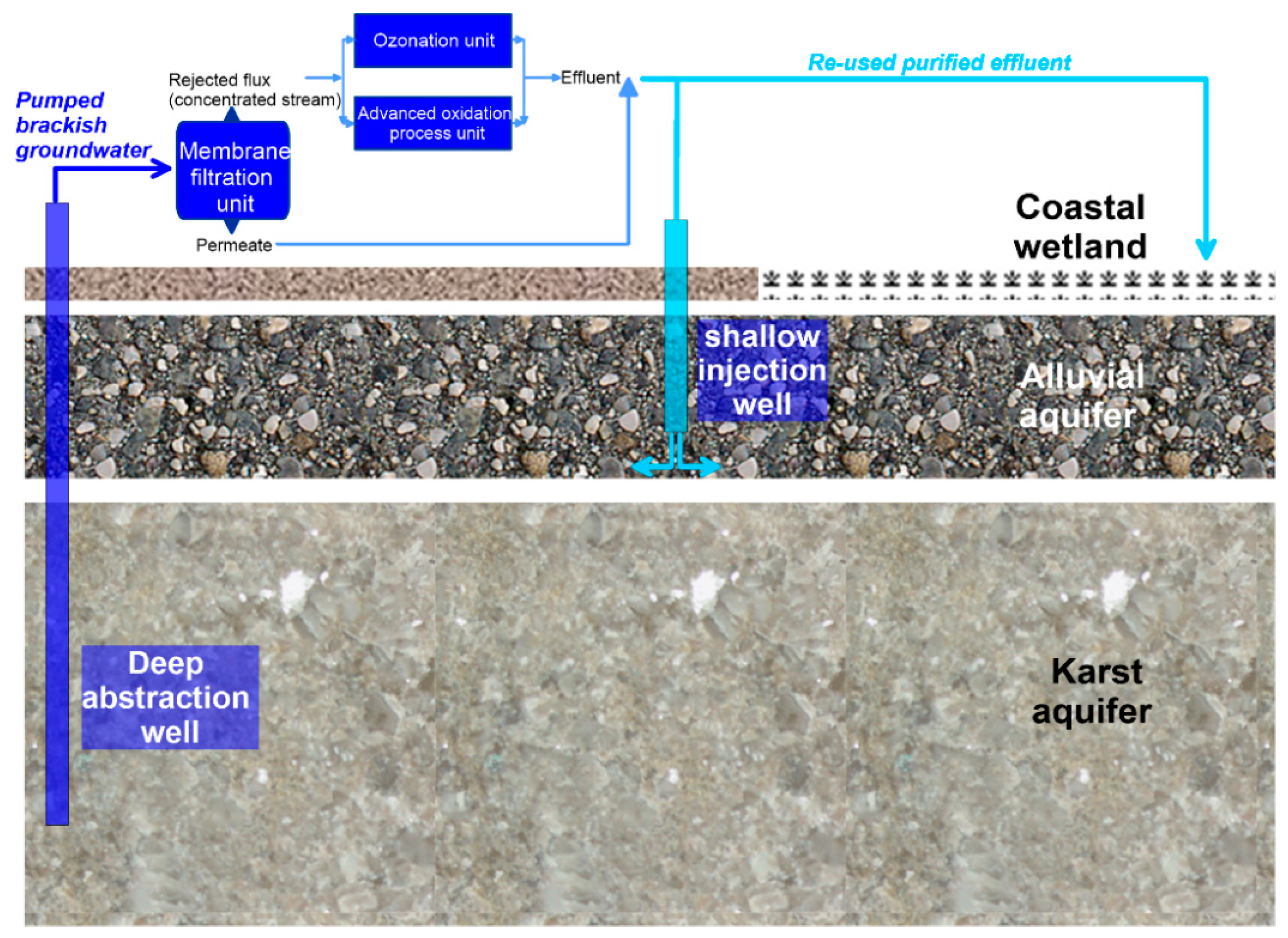 Proceedings 02 00665 g003