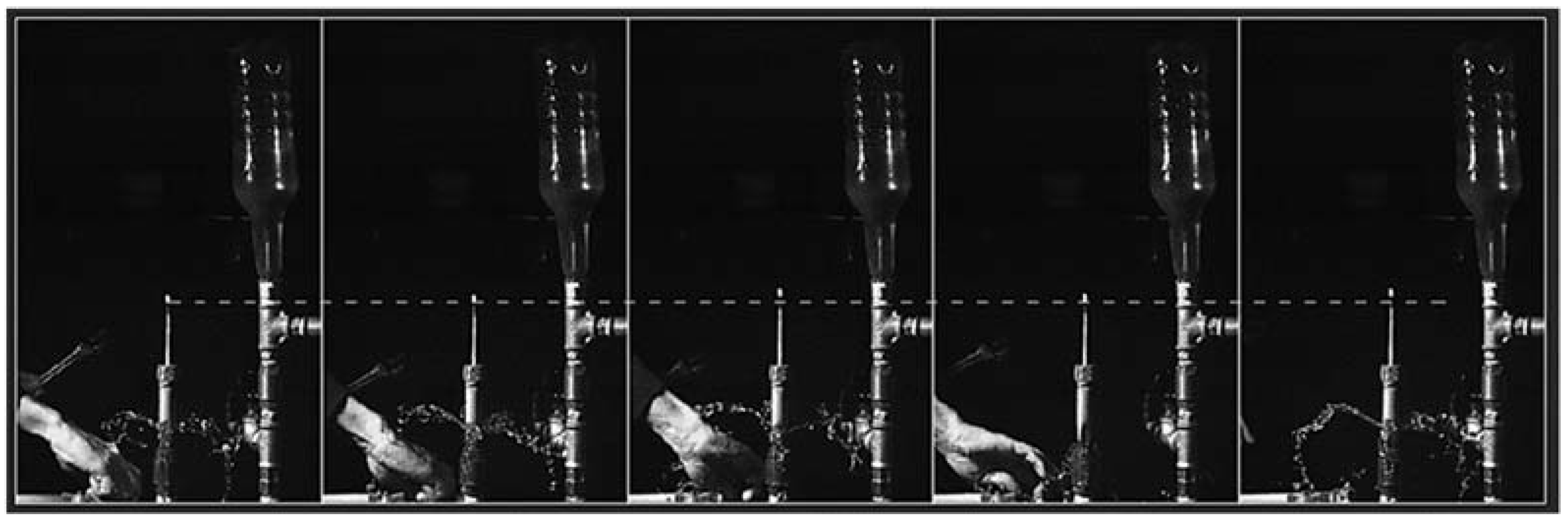 Proceedings 02 00687 g005