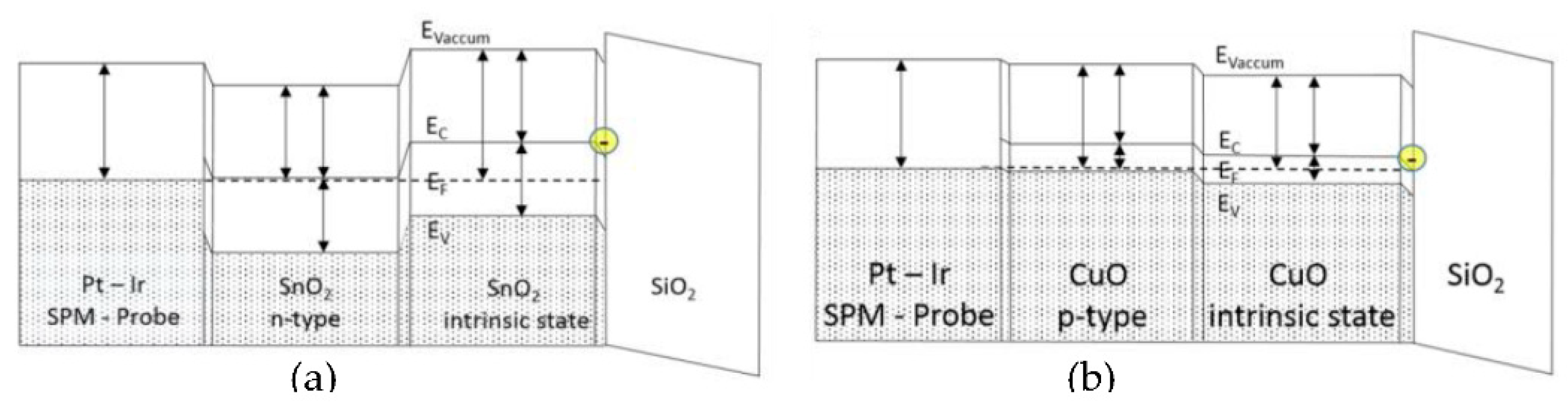 Proceedings 02 00701 g004
