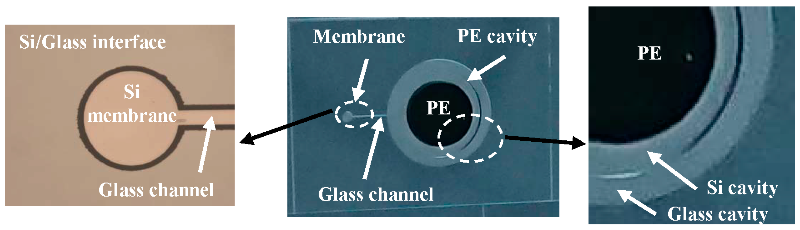 Proceedings 02 00718 g005