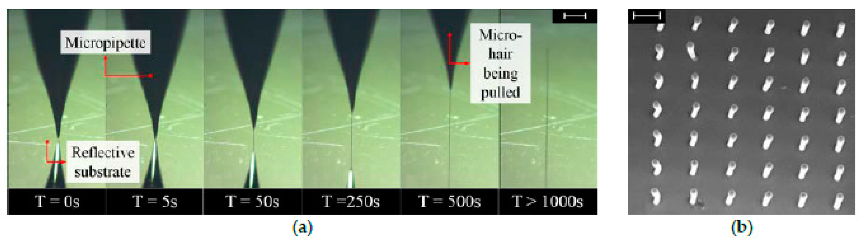 Proceedings 02 00731 g001