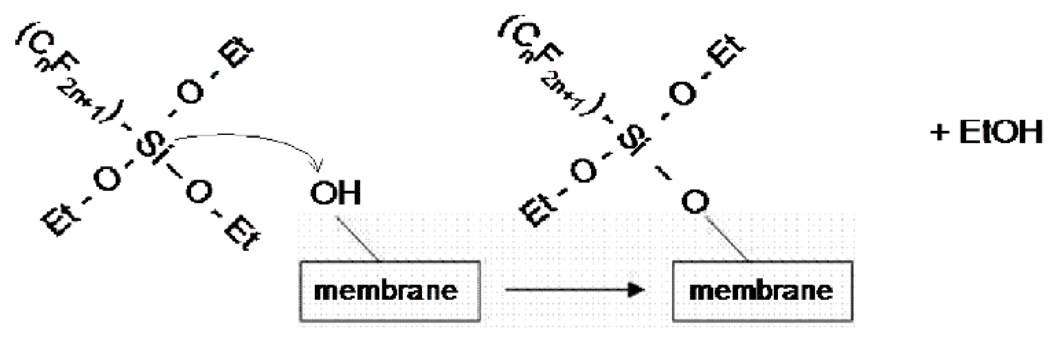 Proceedings 02 00734 g004