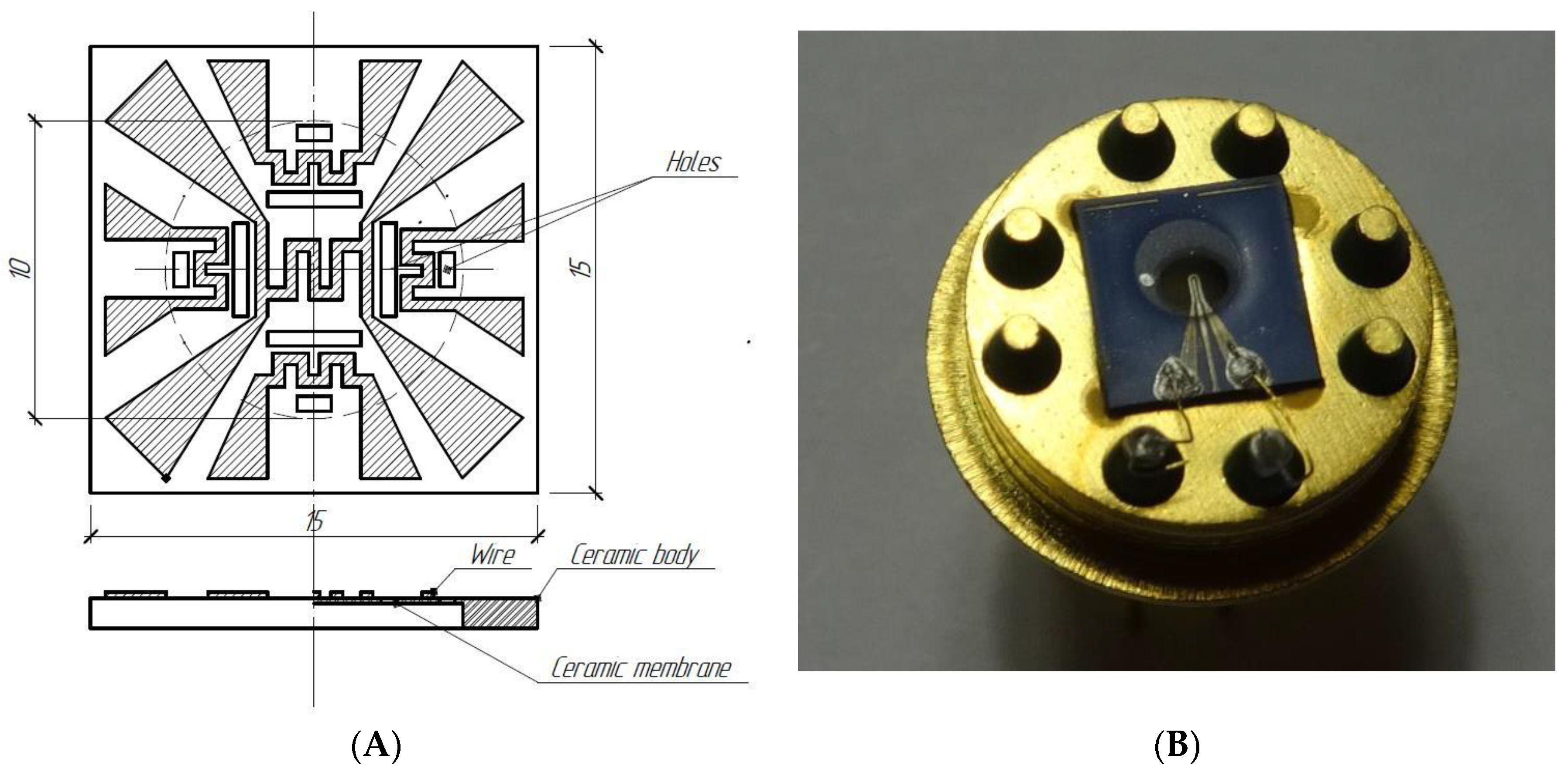 Proceedings 02 00736 g002