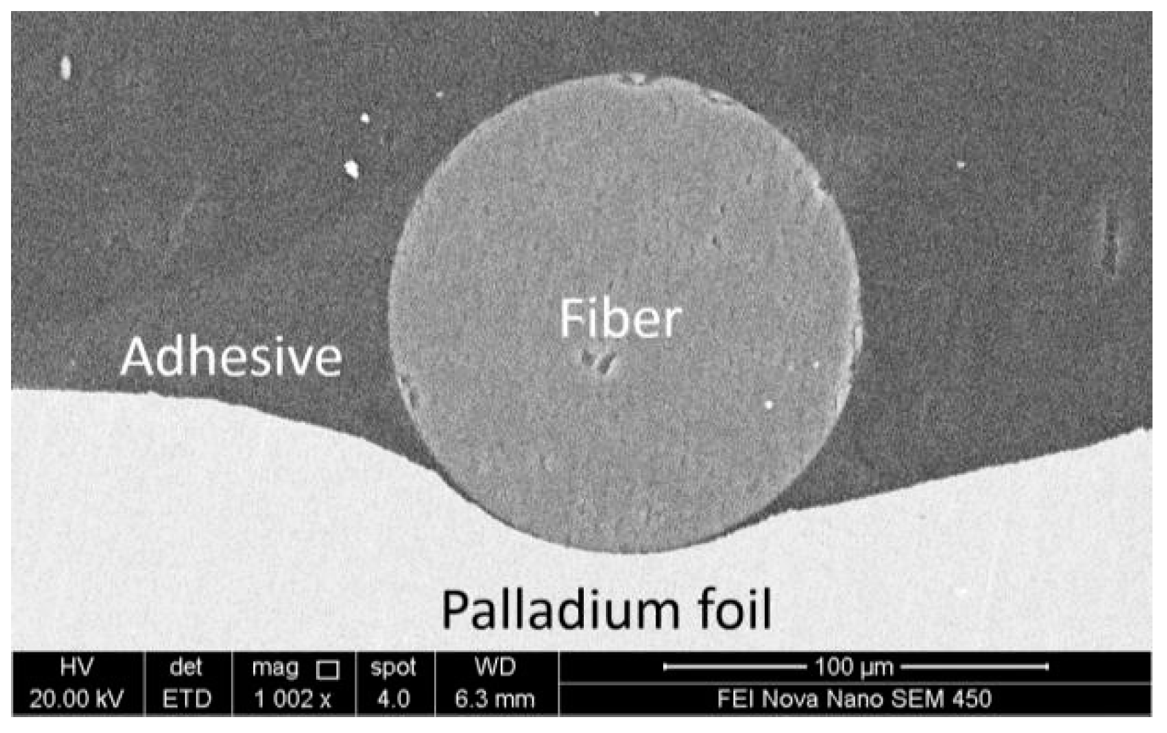 Proceedings 02 00745 g001