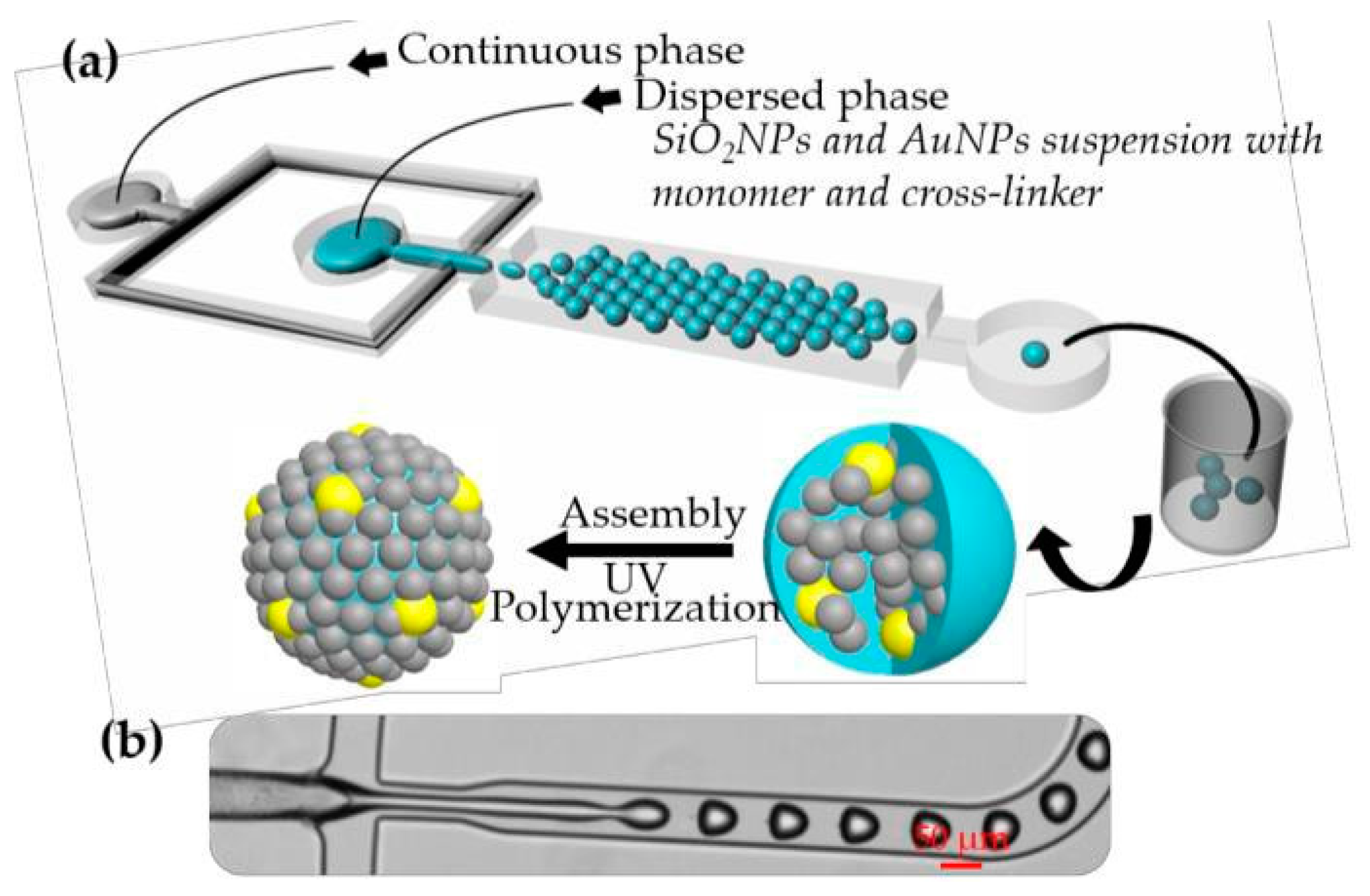 Proceedings 02 00750 g001