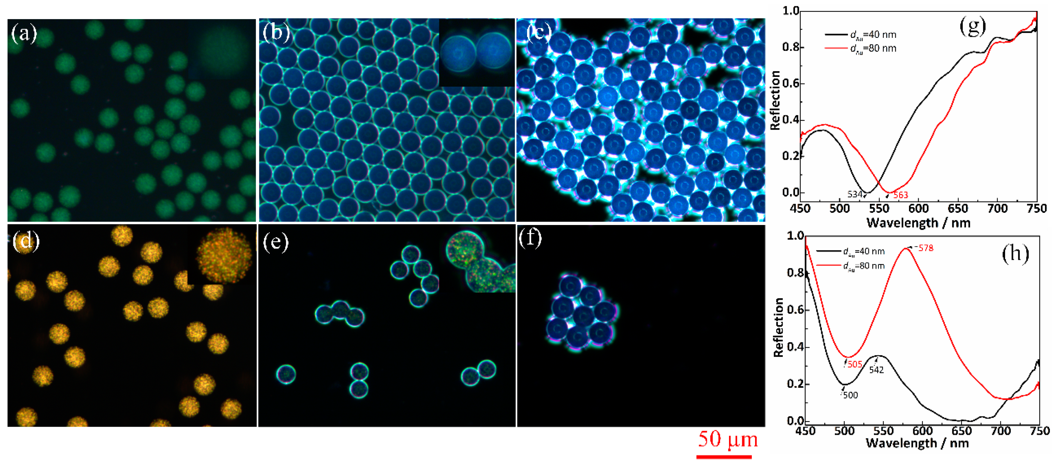 Proceedings 02 00750 g002