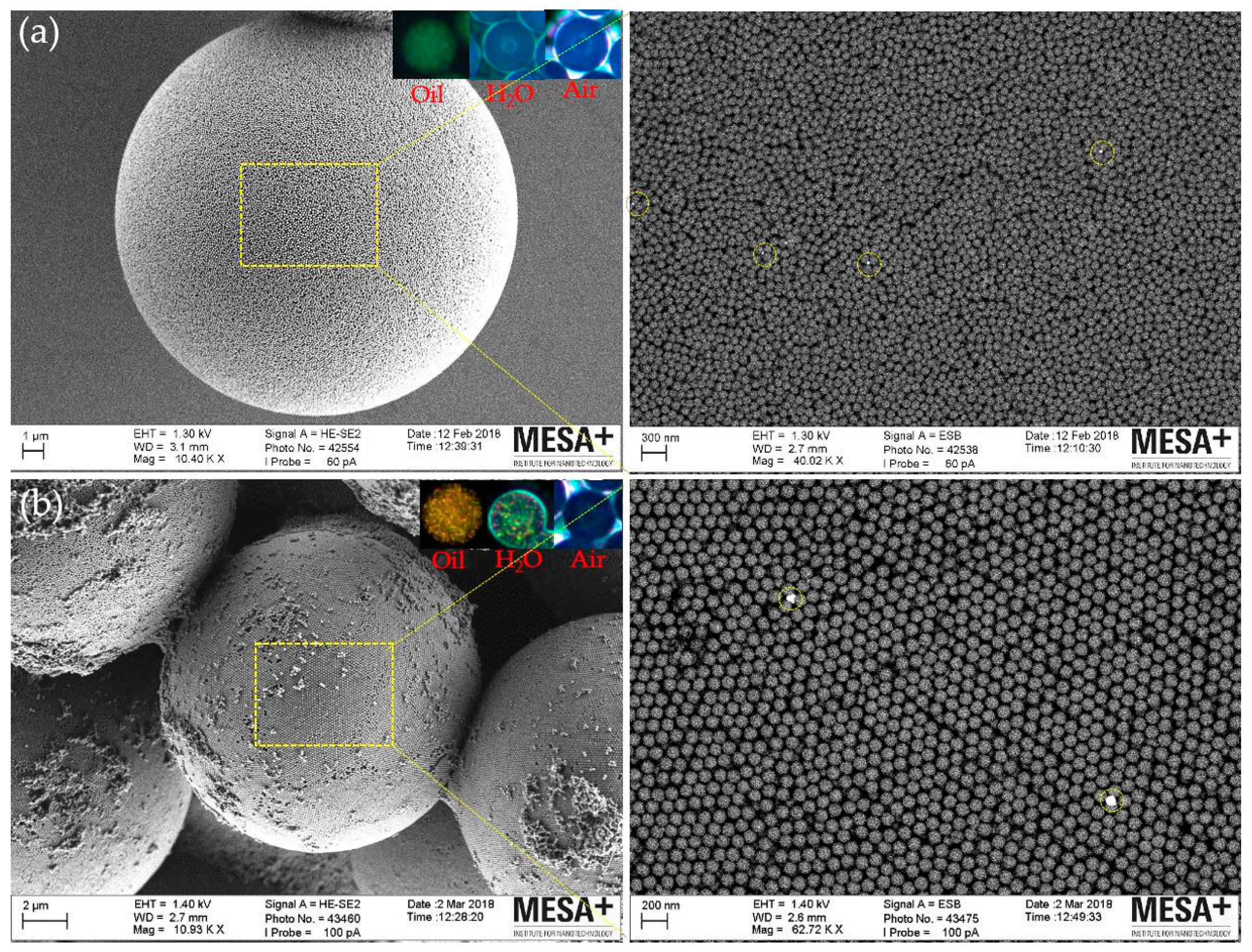 Proceedings 02 00750 g003