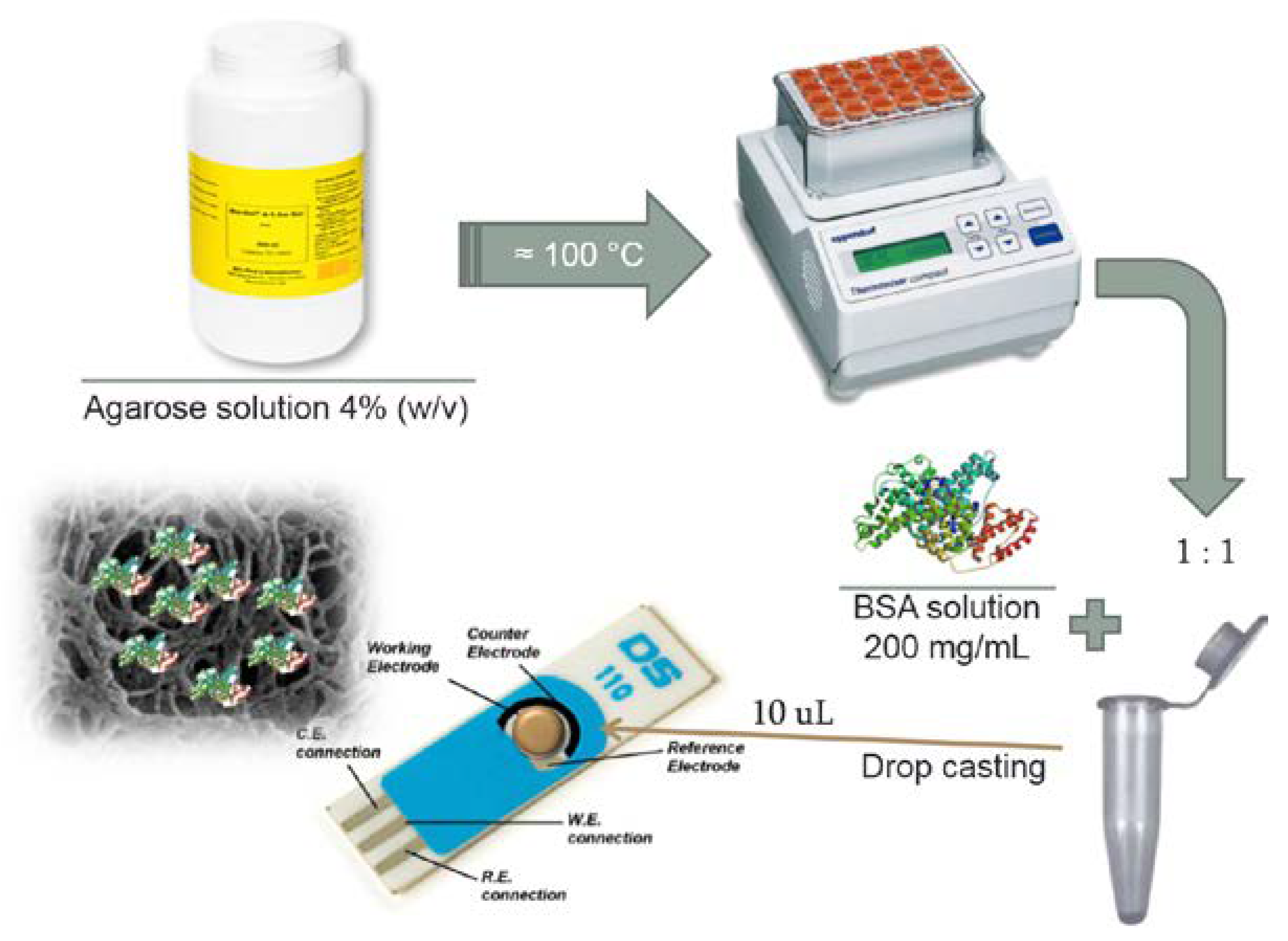 Proceedings 02 00760 g003