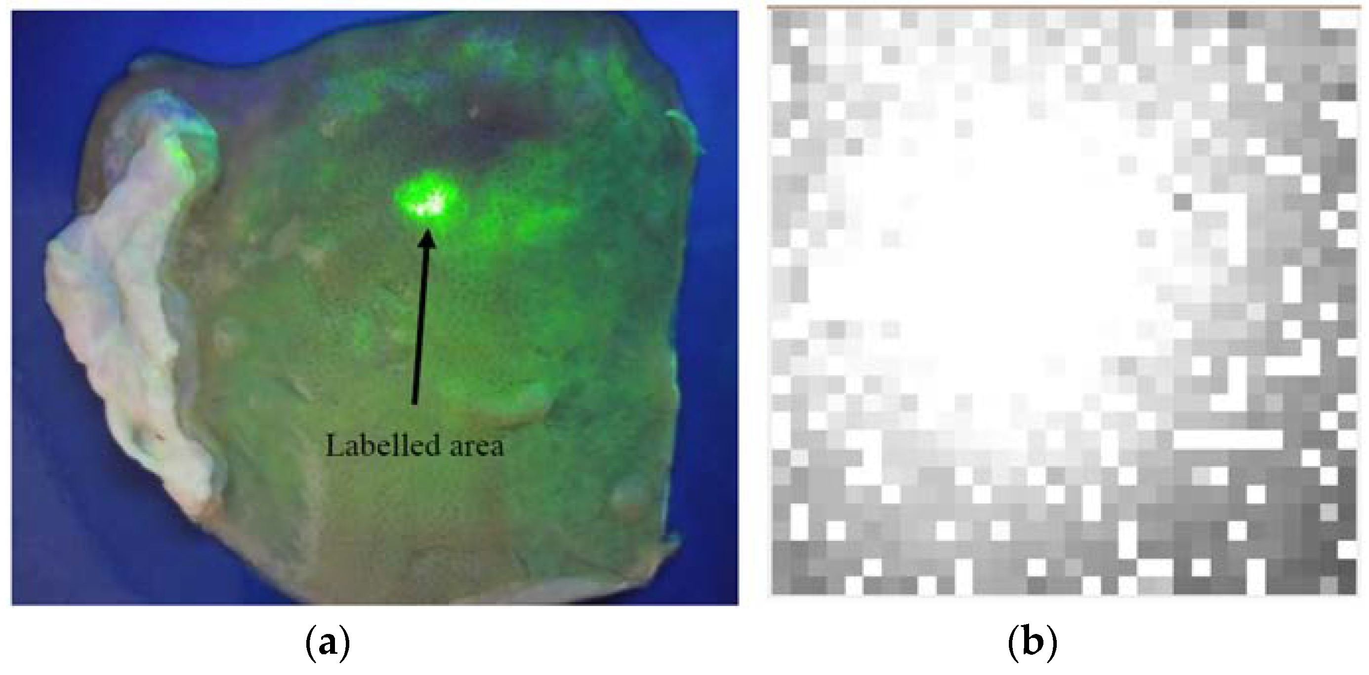 Proceedings 02 00766 g003