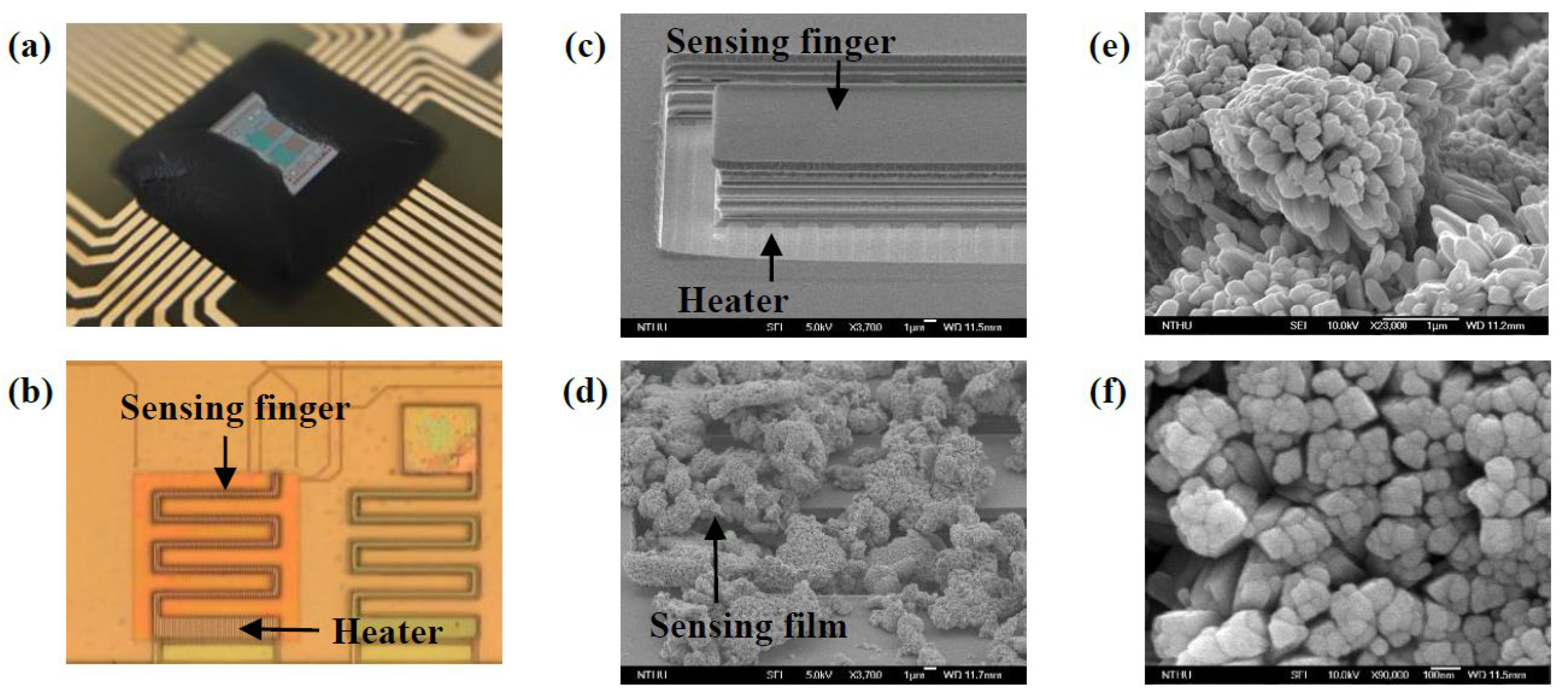 Proceedings 02 00772 g003