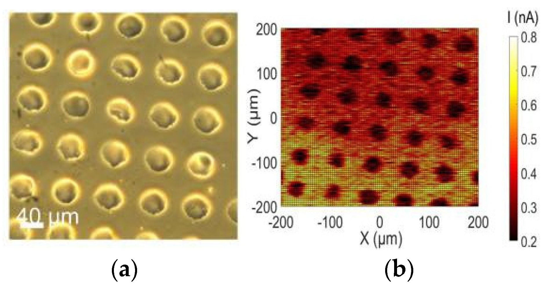 Proceedings 02 00778 g003