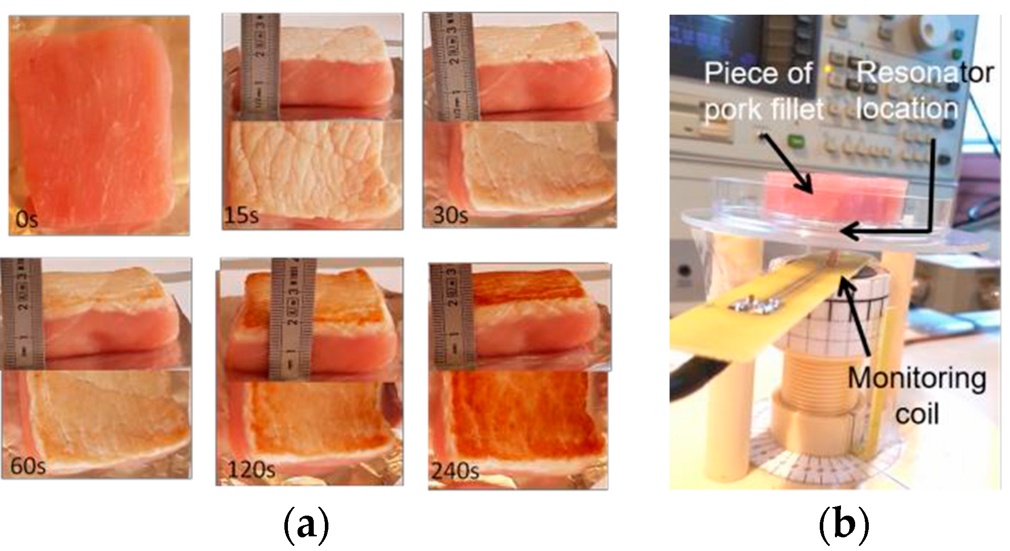 Proceedings 02 00780 g002