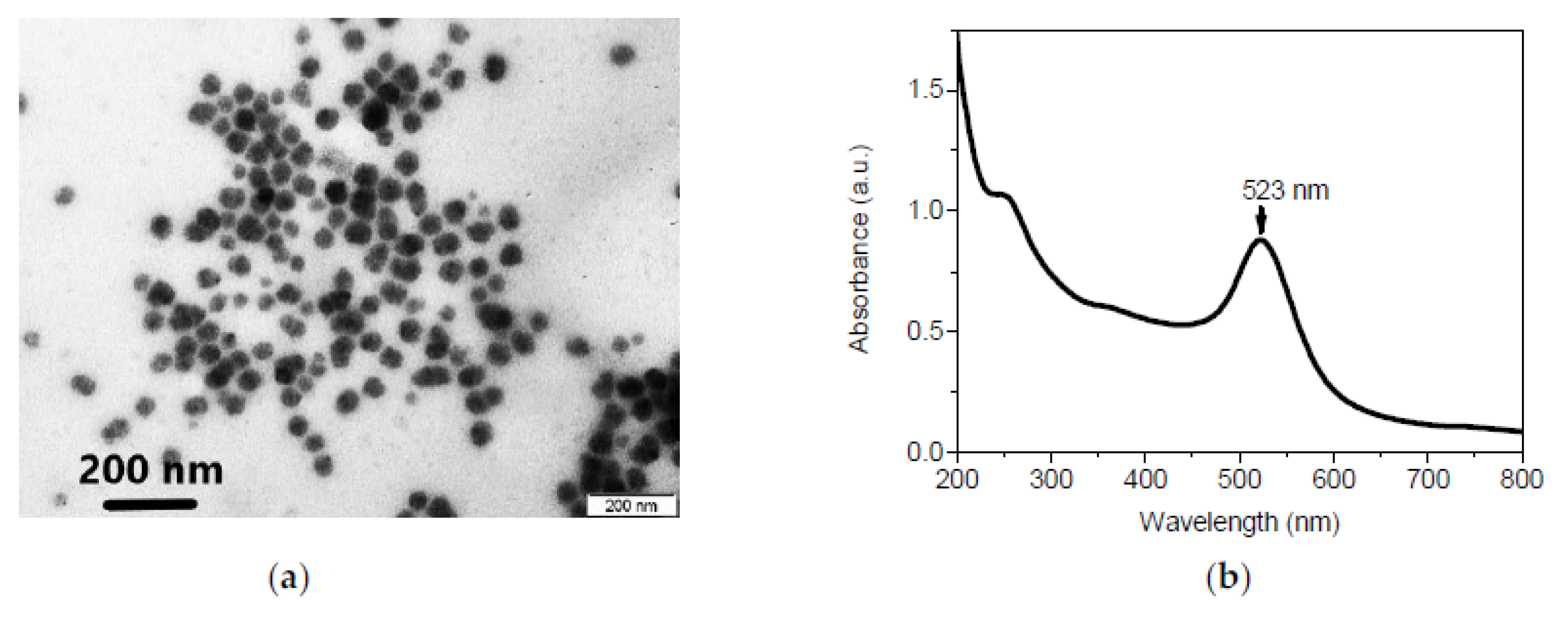 Proceedings 02 00786 g001