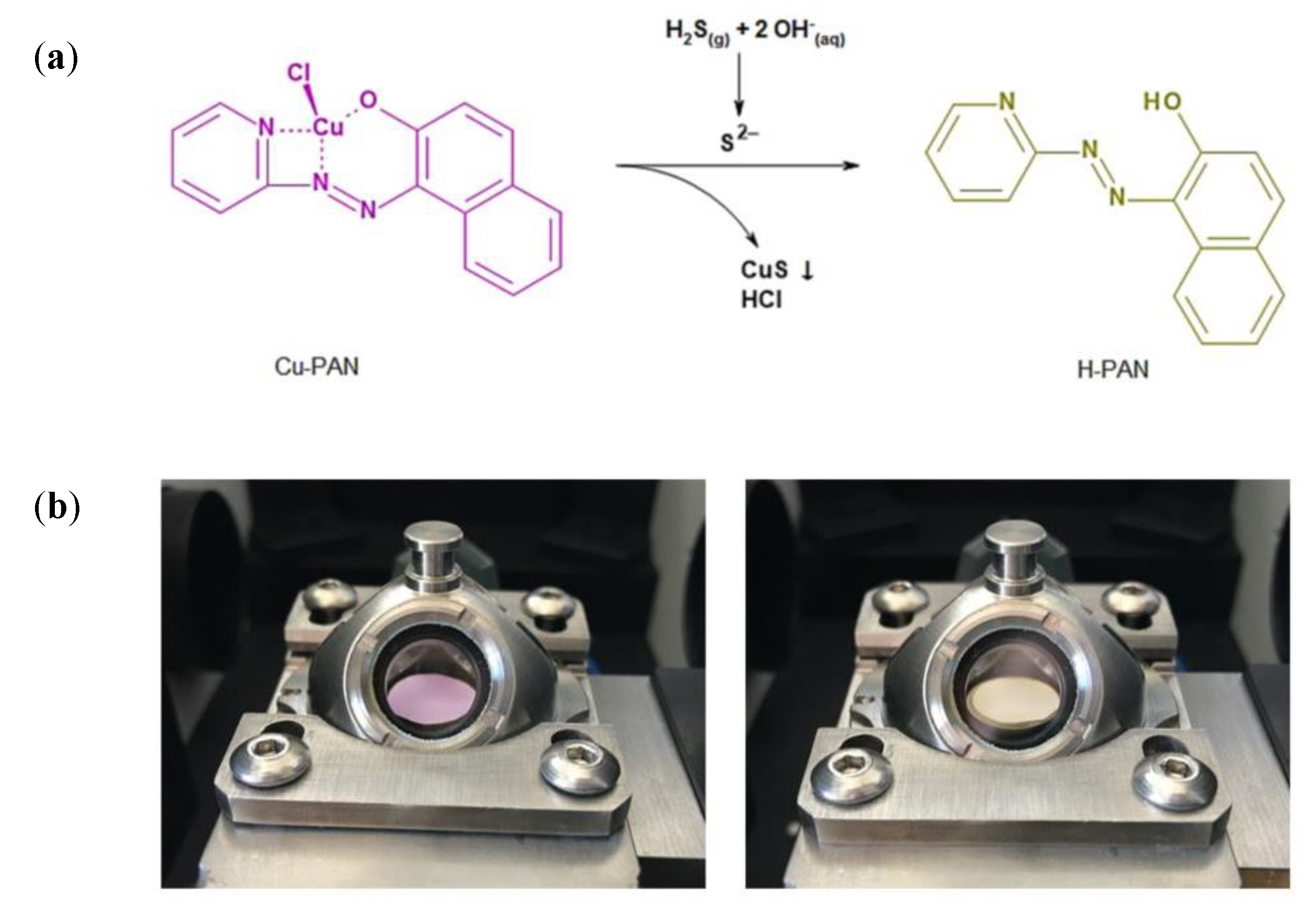 Proceedings 02 00804 g001