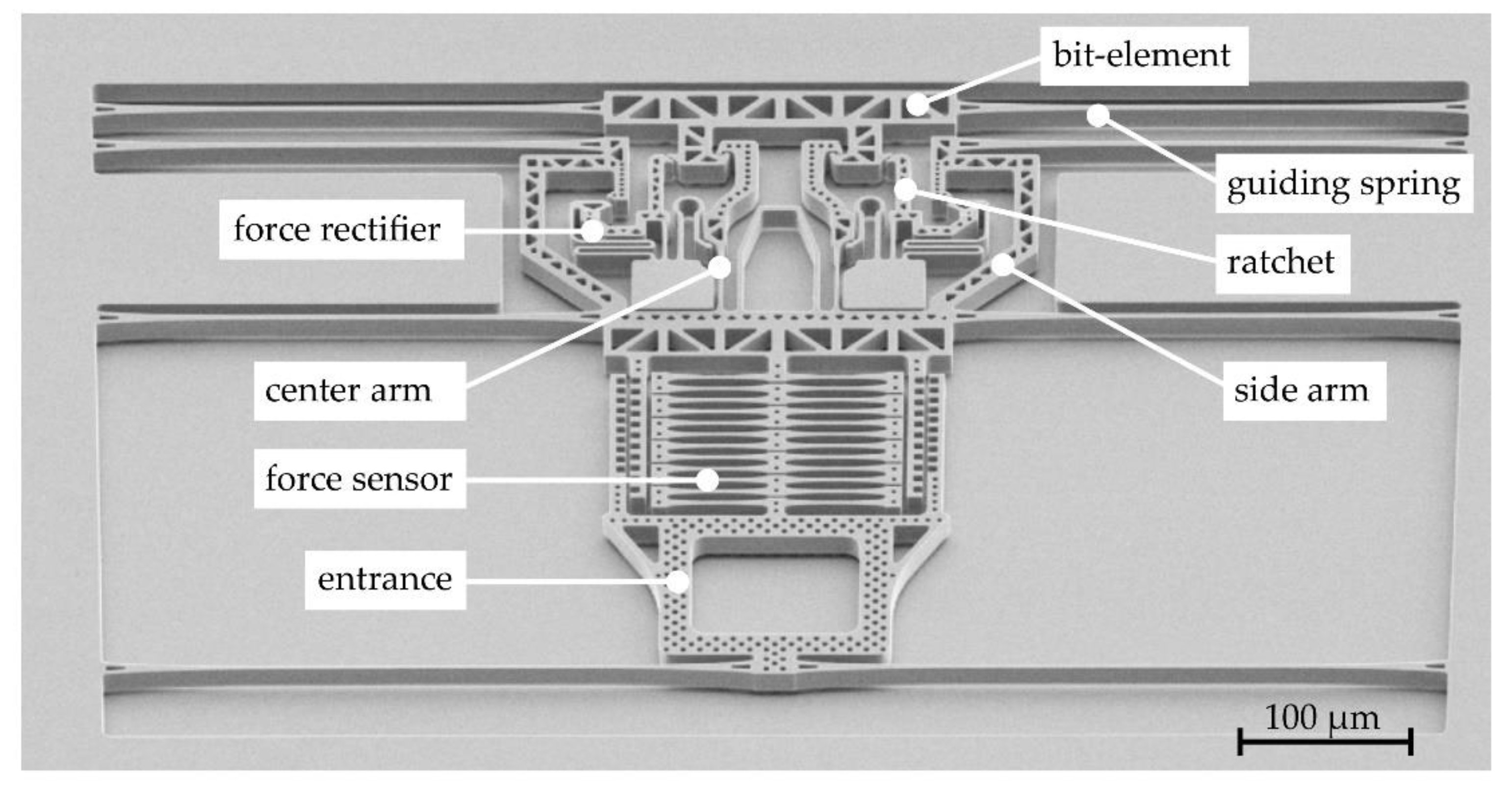 Proceedings 02 00807 g001