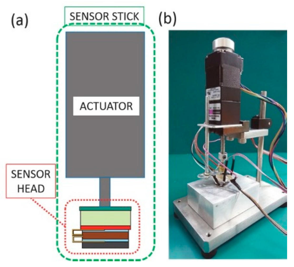 Proceedings 02 00808 g005