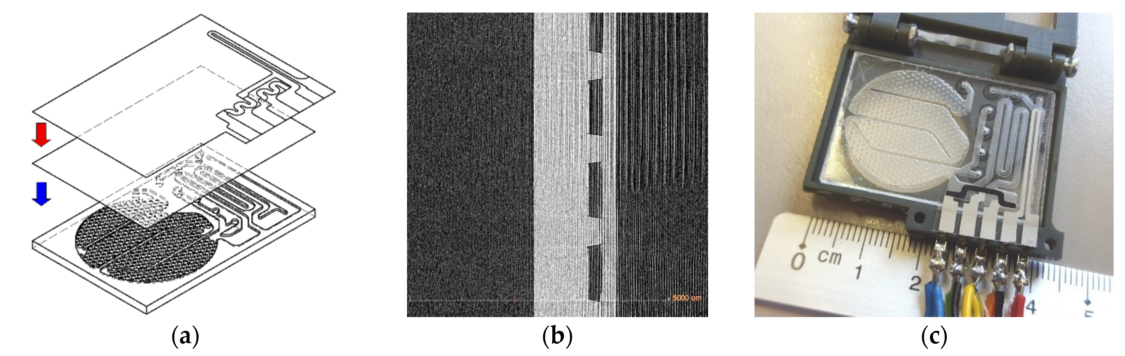 Proceedings 02 00810 g002