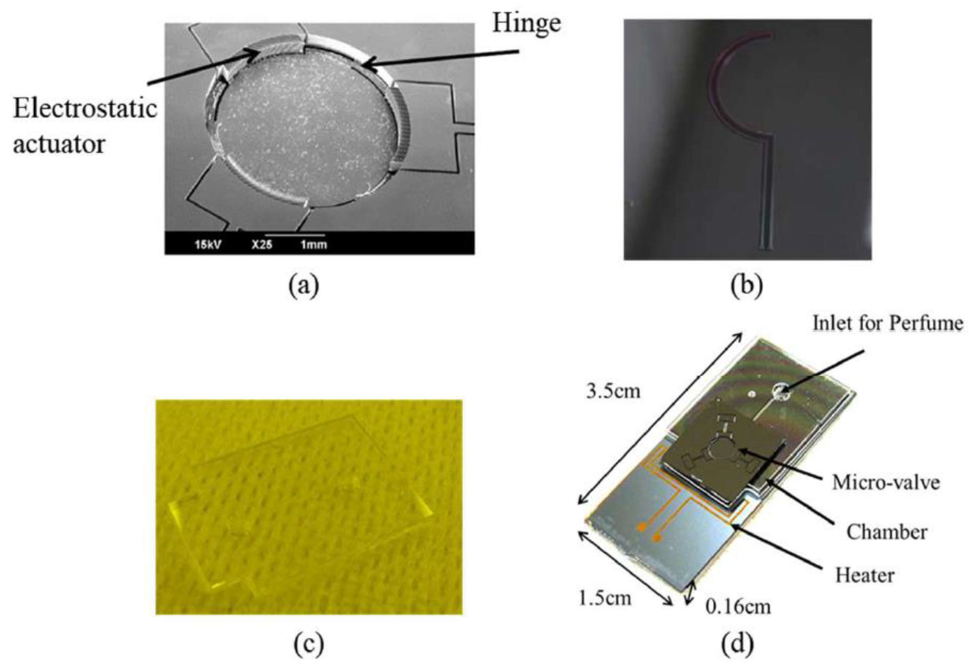 Proceedings 02 00839 g002