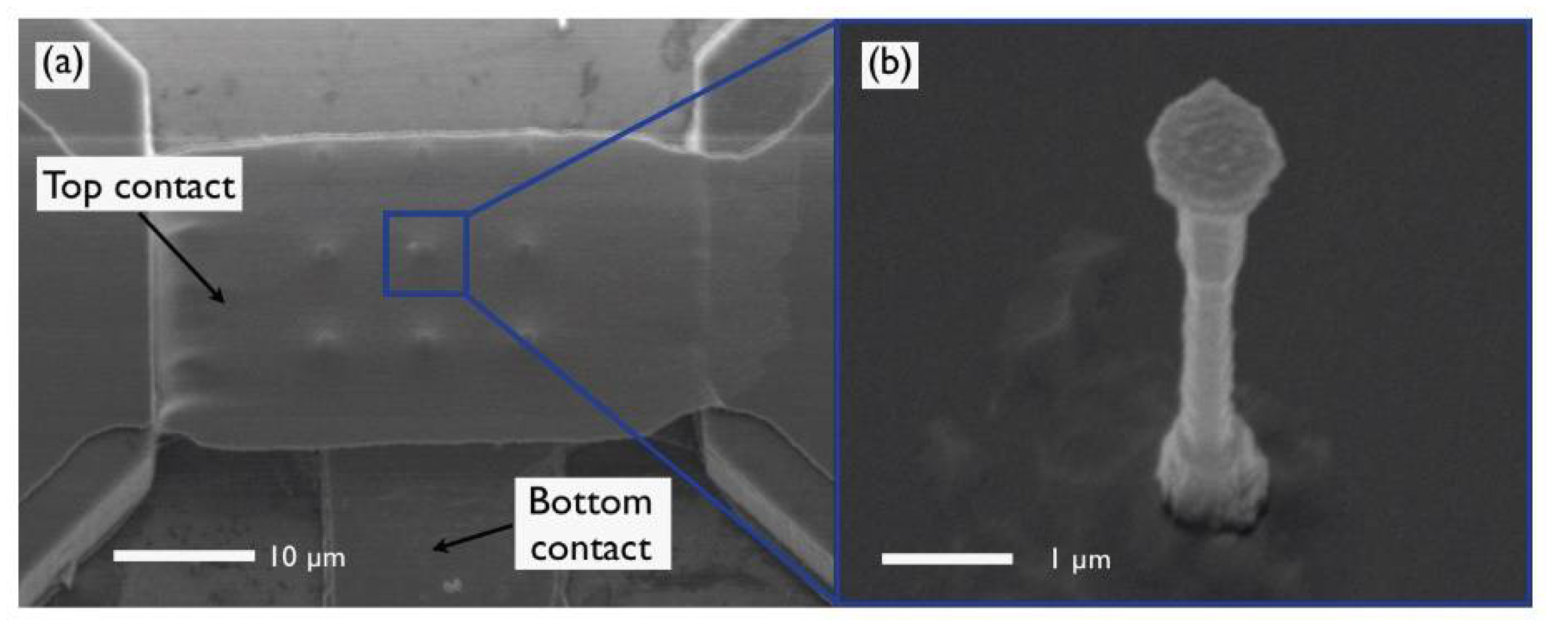 Proceedings 02 00845 g003