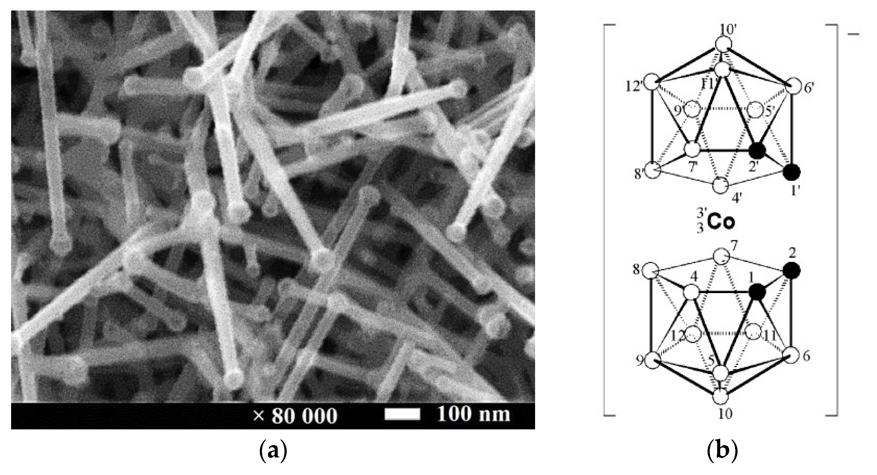 Proceedings 02 00869 g001