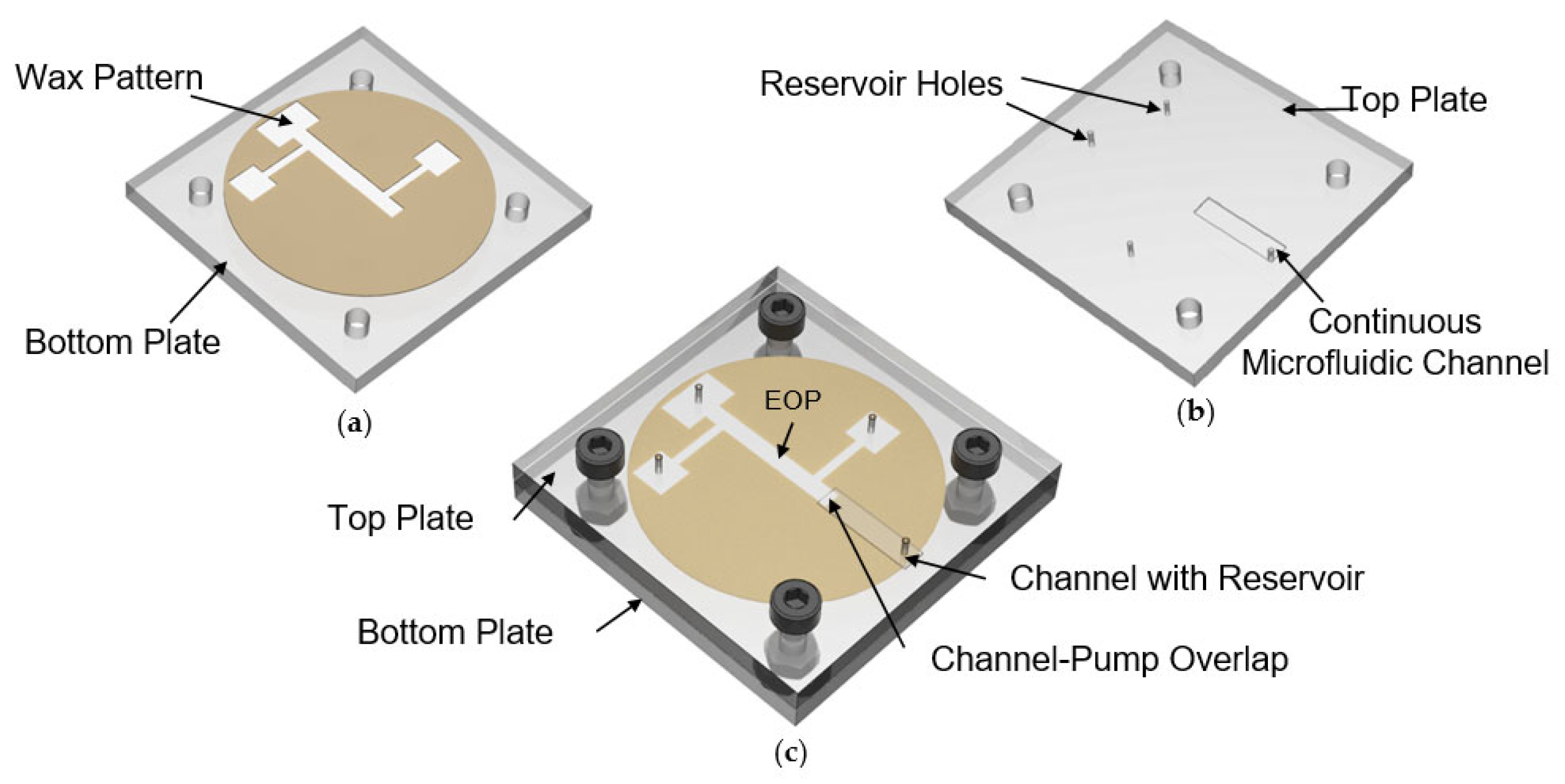 Proceedings 02 00870 g003