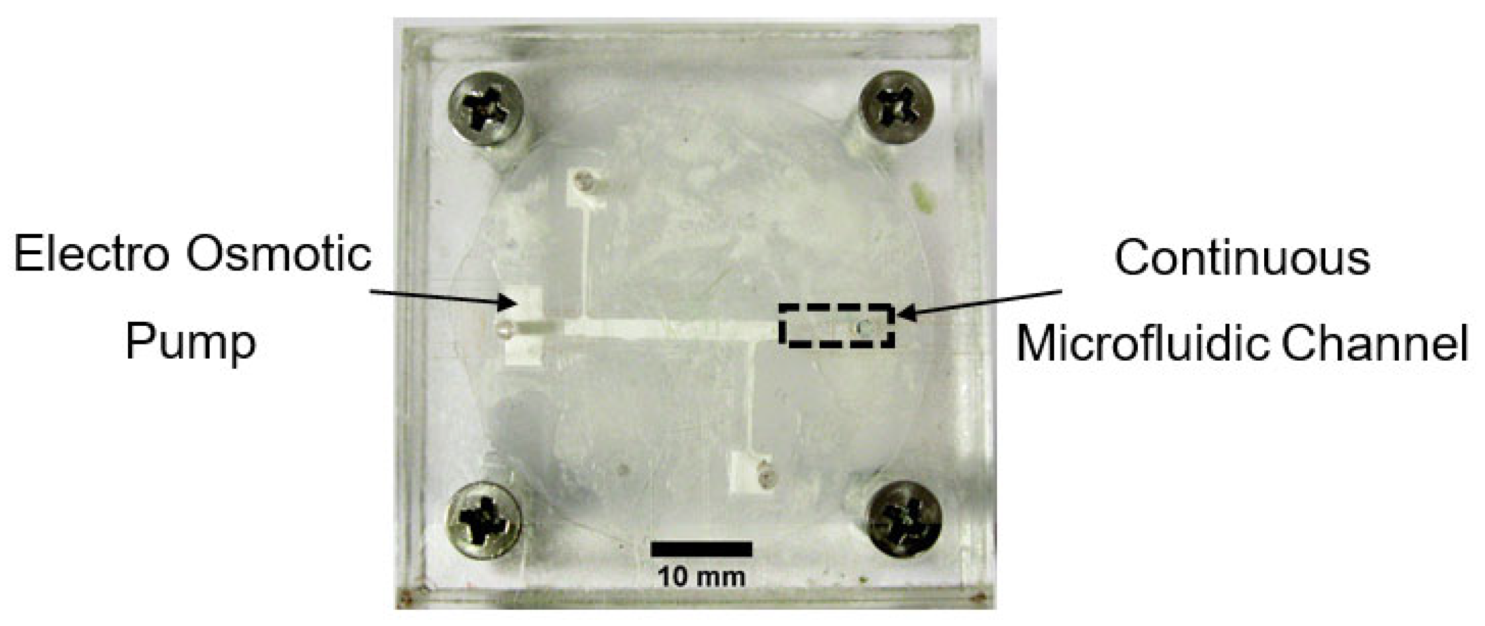 Proceedings 02 00870 g004