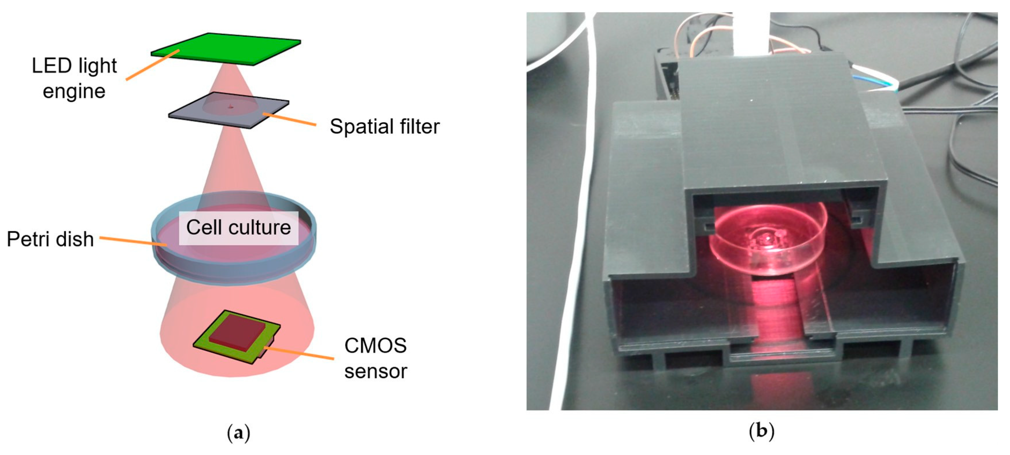 Proceedings 02 00877 g001