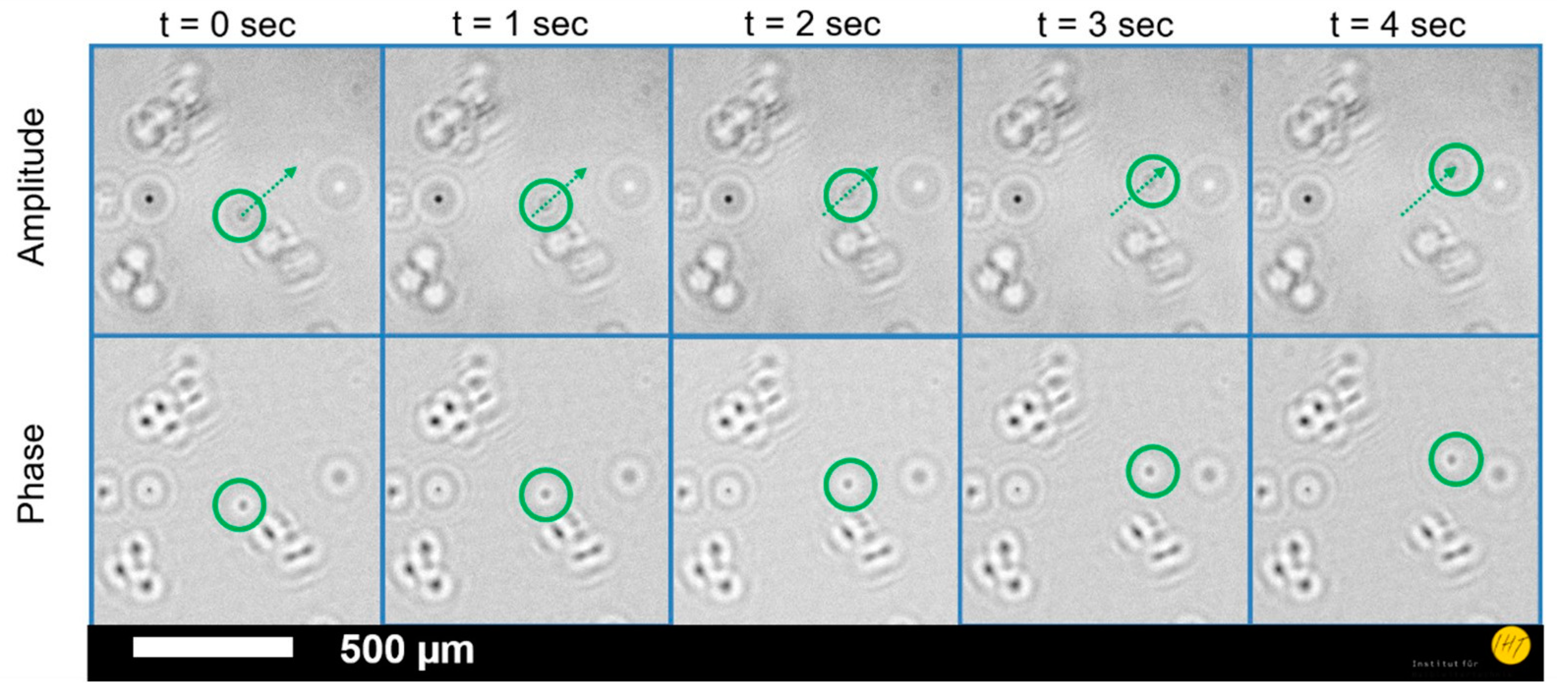 Proceedings 02 00877 g003