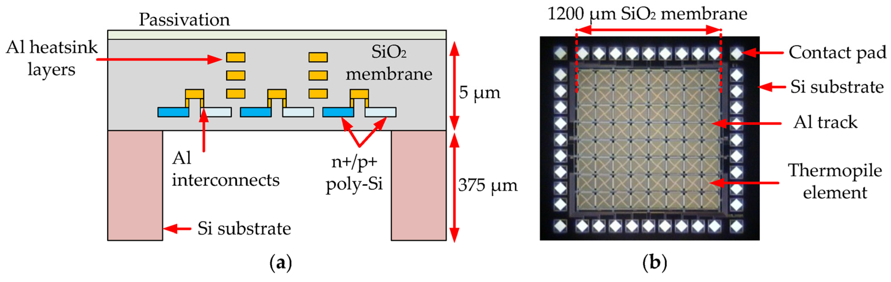 Proceedings 02 00878 g001